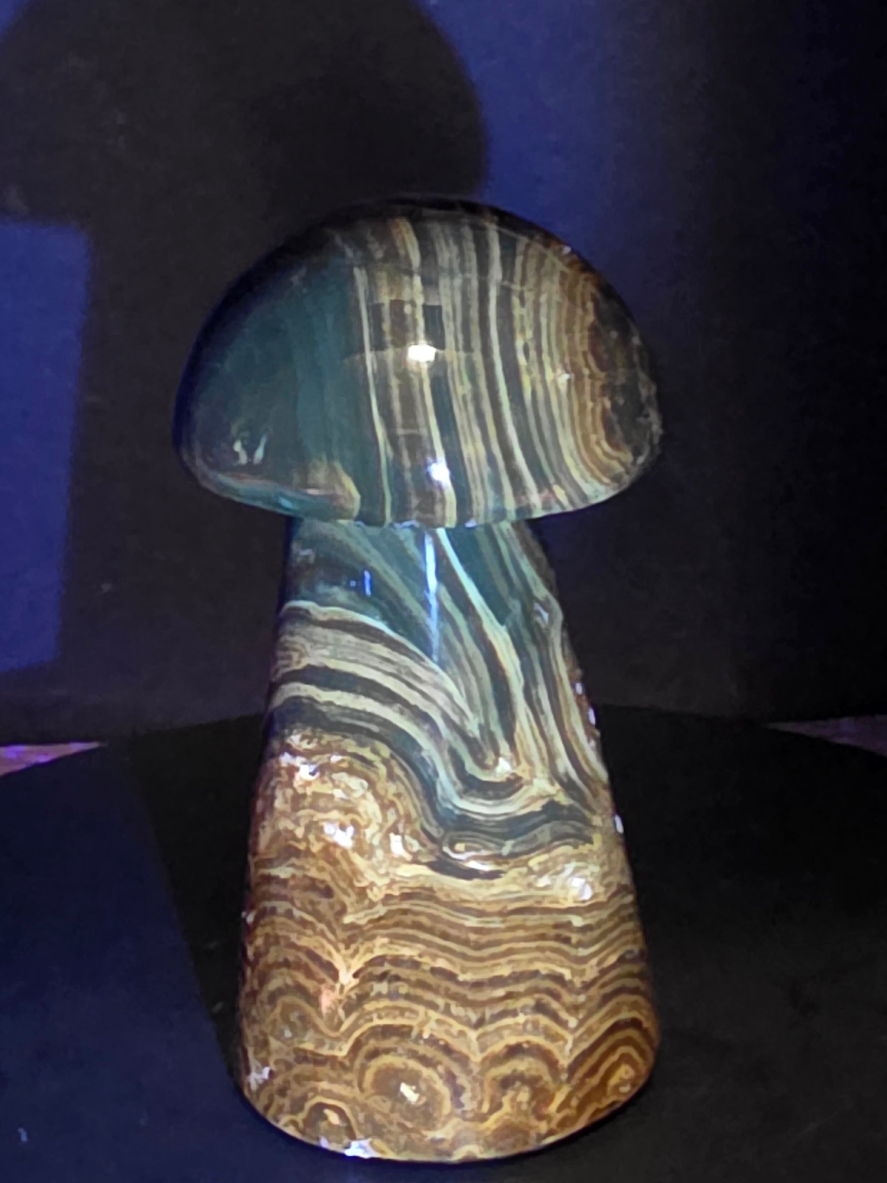 🍄 Chocolate Calcite Mushroom Carving B