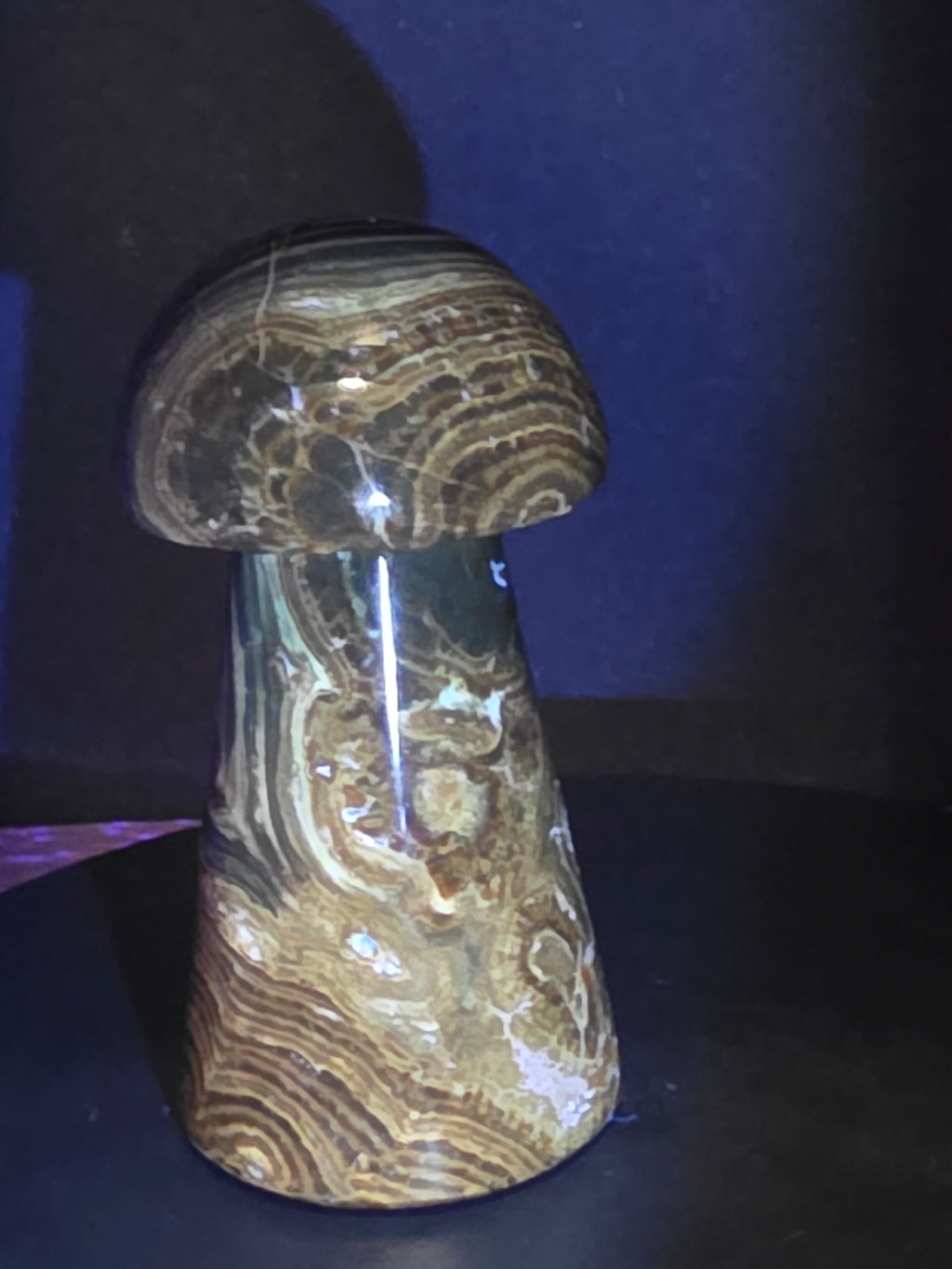 🍄 Chocolate Calcite Mushroom Carving B