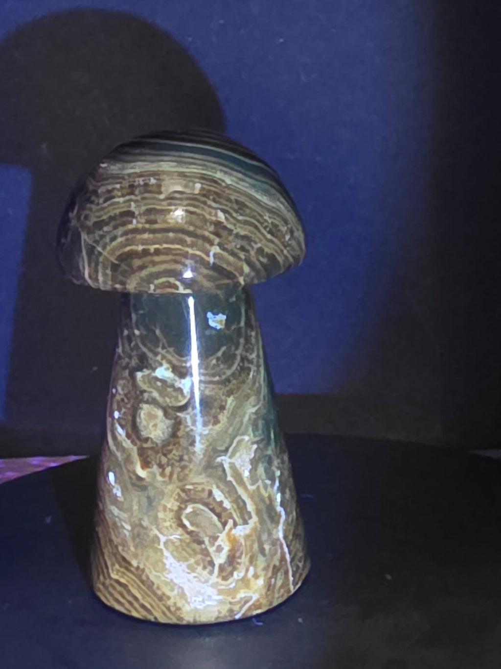 🍄 Chocolate Calcite Mushroom Carving B