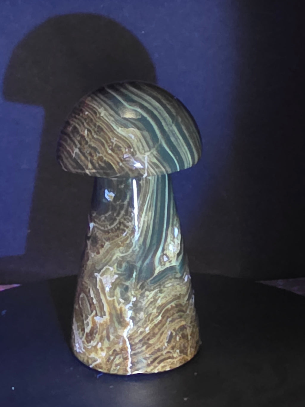 🍄 Chocolate Calcite Mushroom Carving B