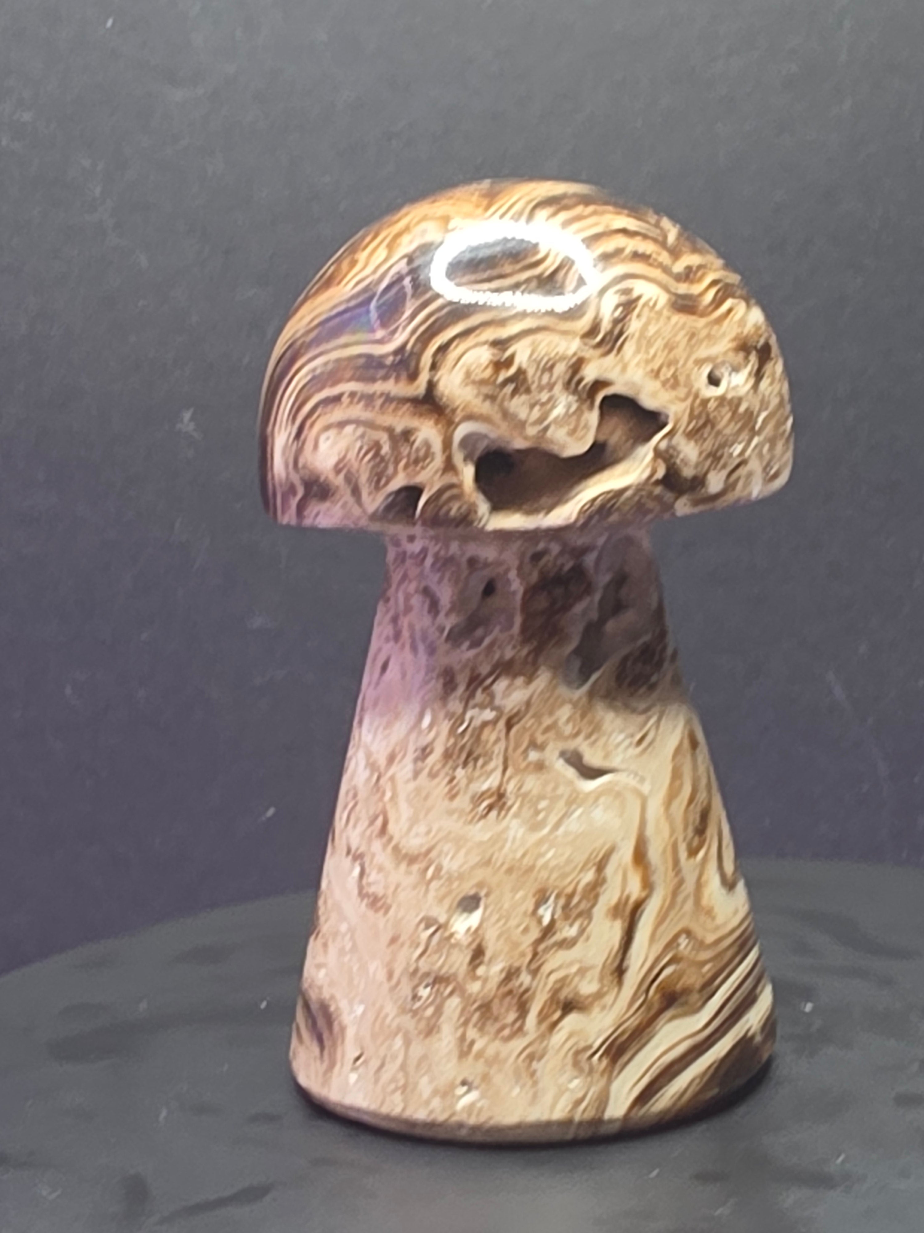 🍄 Chocolate Calcite Mushroom Carving C