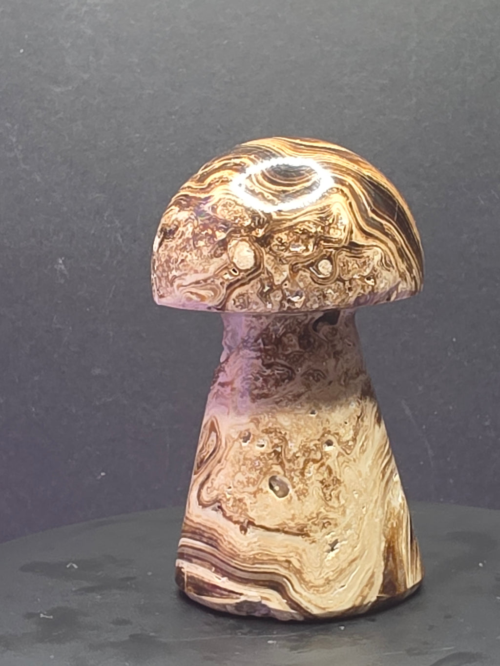 🍄 Chocolate Calcite Mushroom Carving C