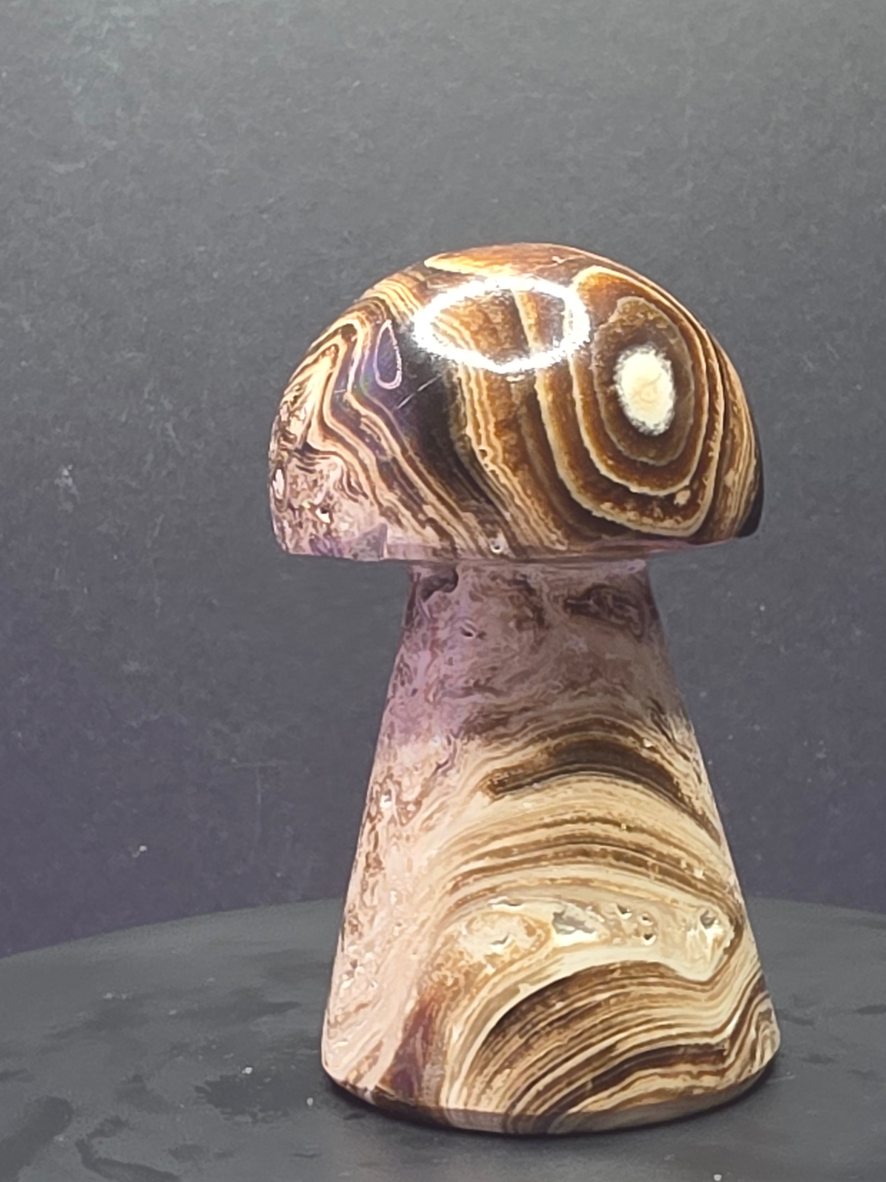 🍄 Chocolate Calcite Mushroom Carving C