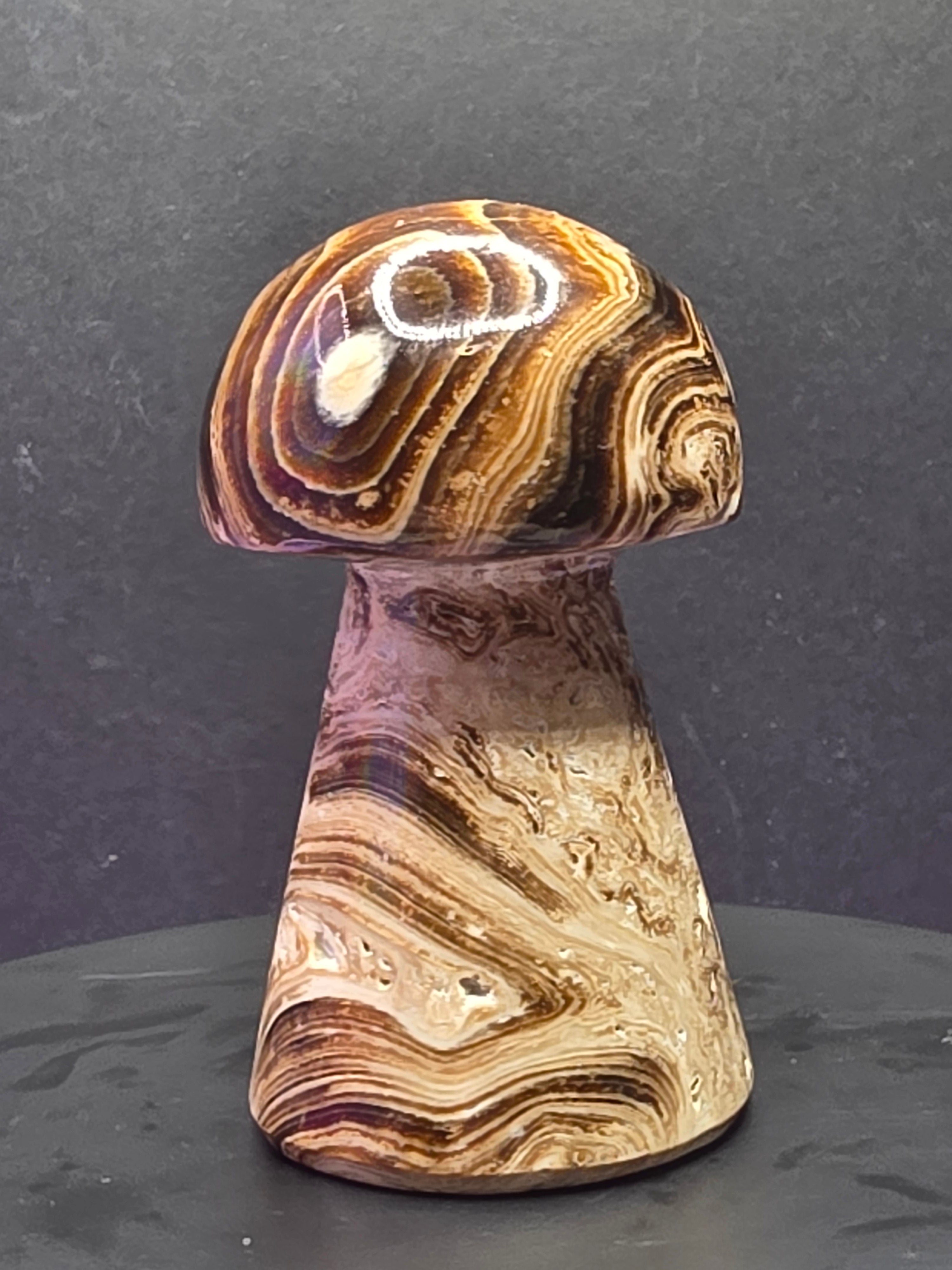🍄 Chocolate Calcite Mushroom Carving C