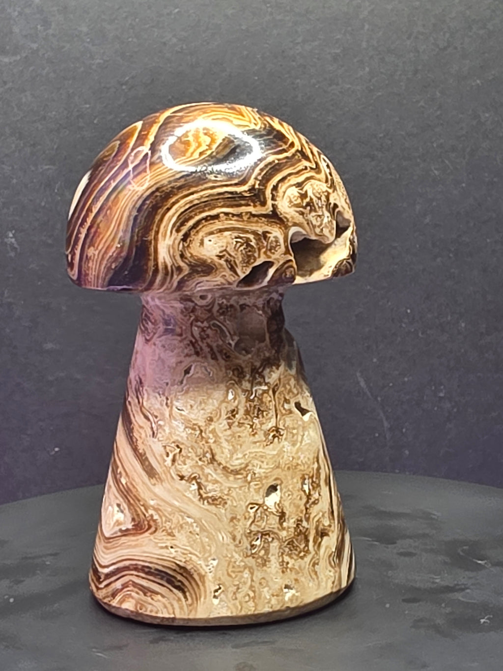 🍄 Chocolate Calcite Mushroom Carving C
