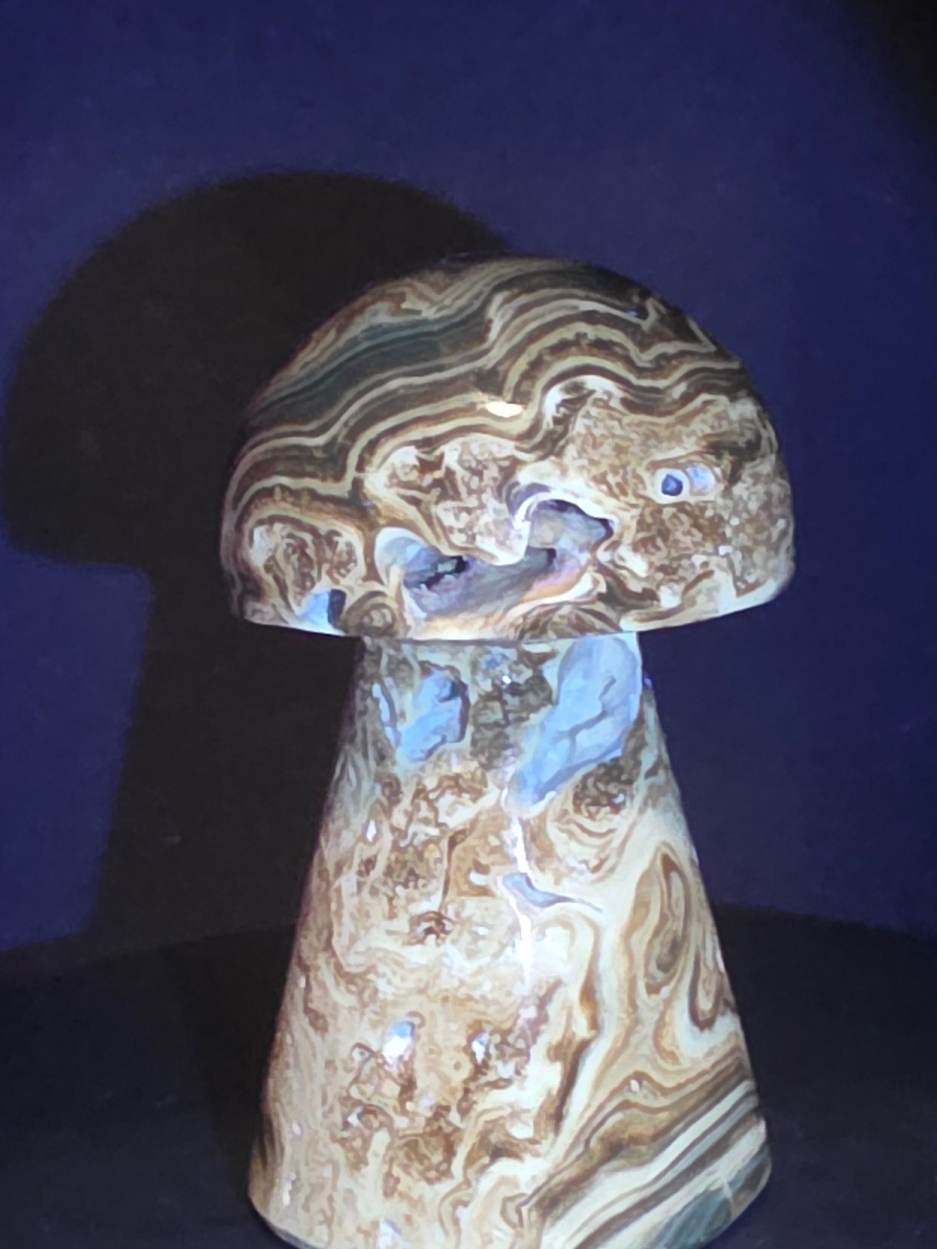 🍄 Chocolate Calcite Mushroom Carving C