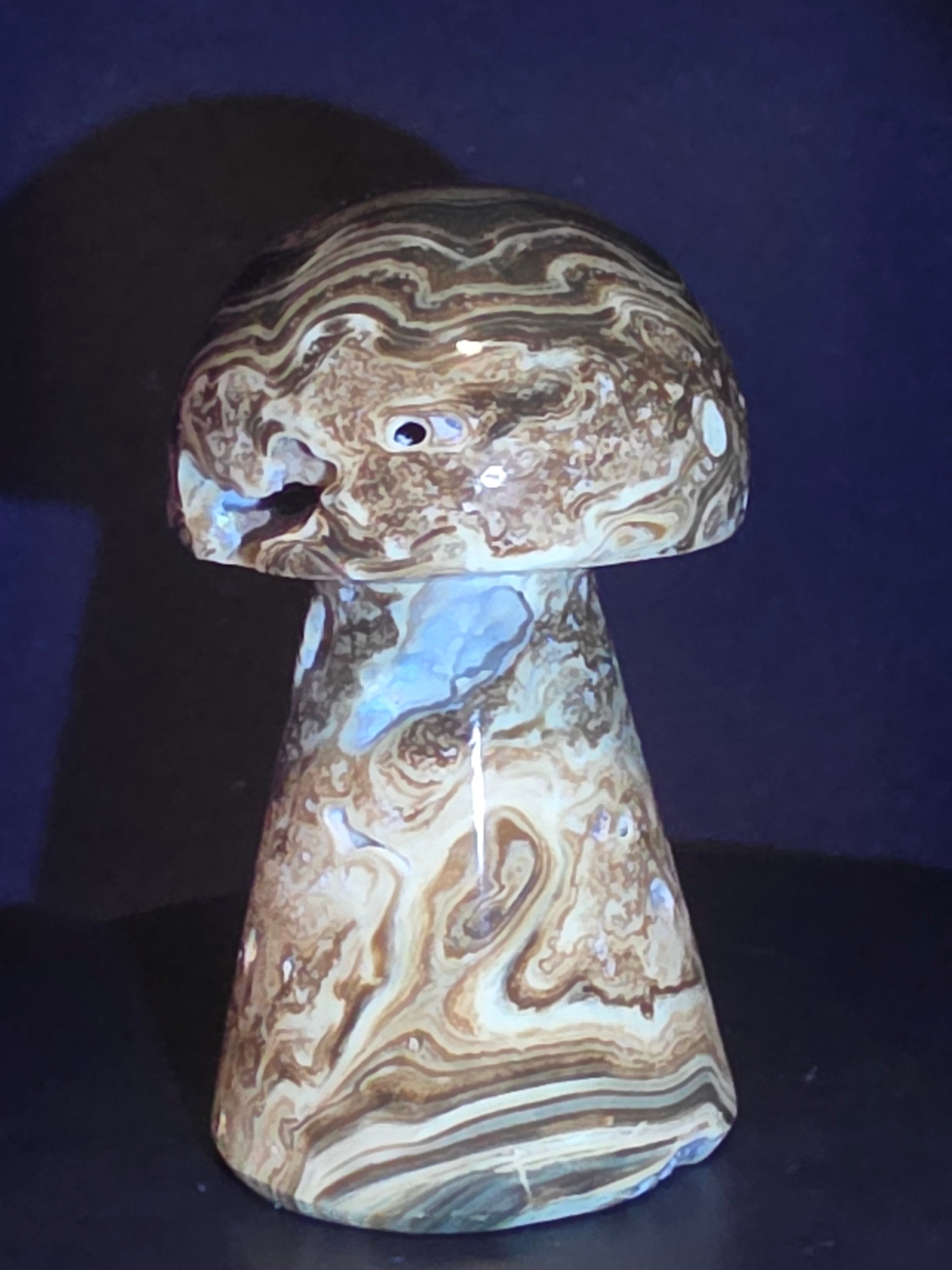 🍄 Chocolate Calcite Mushroom Carving C