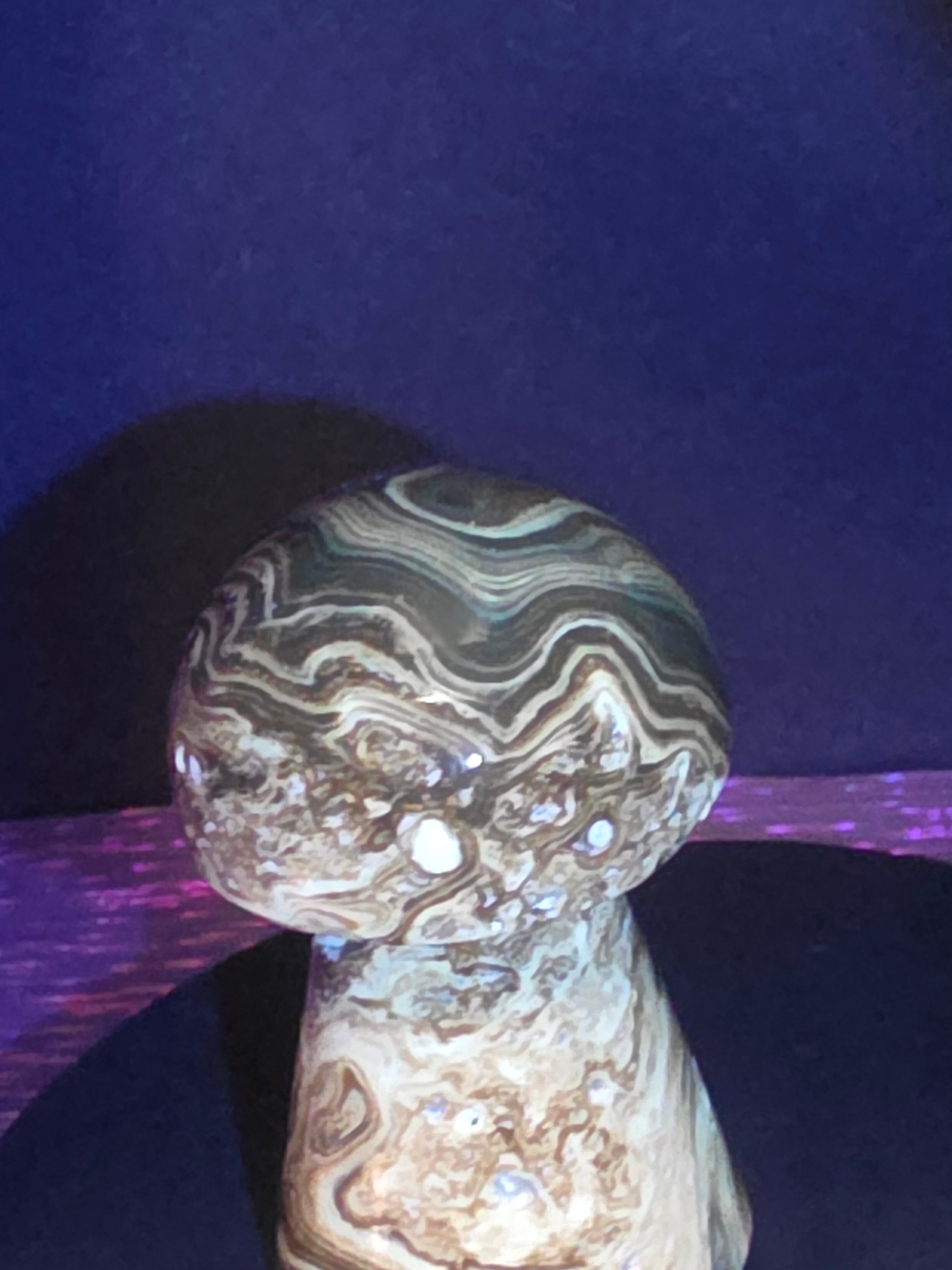 🍄 Chocolate Calcite Mushroom Carving C