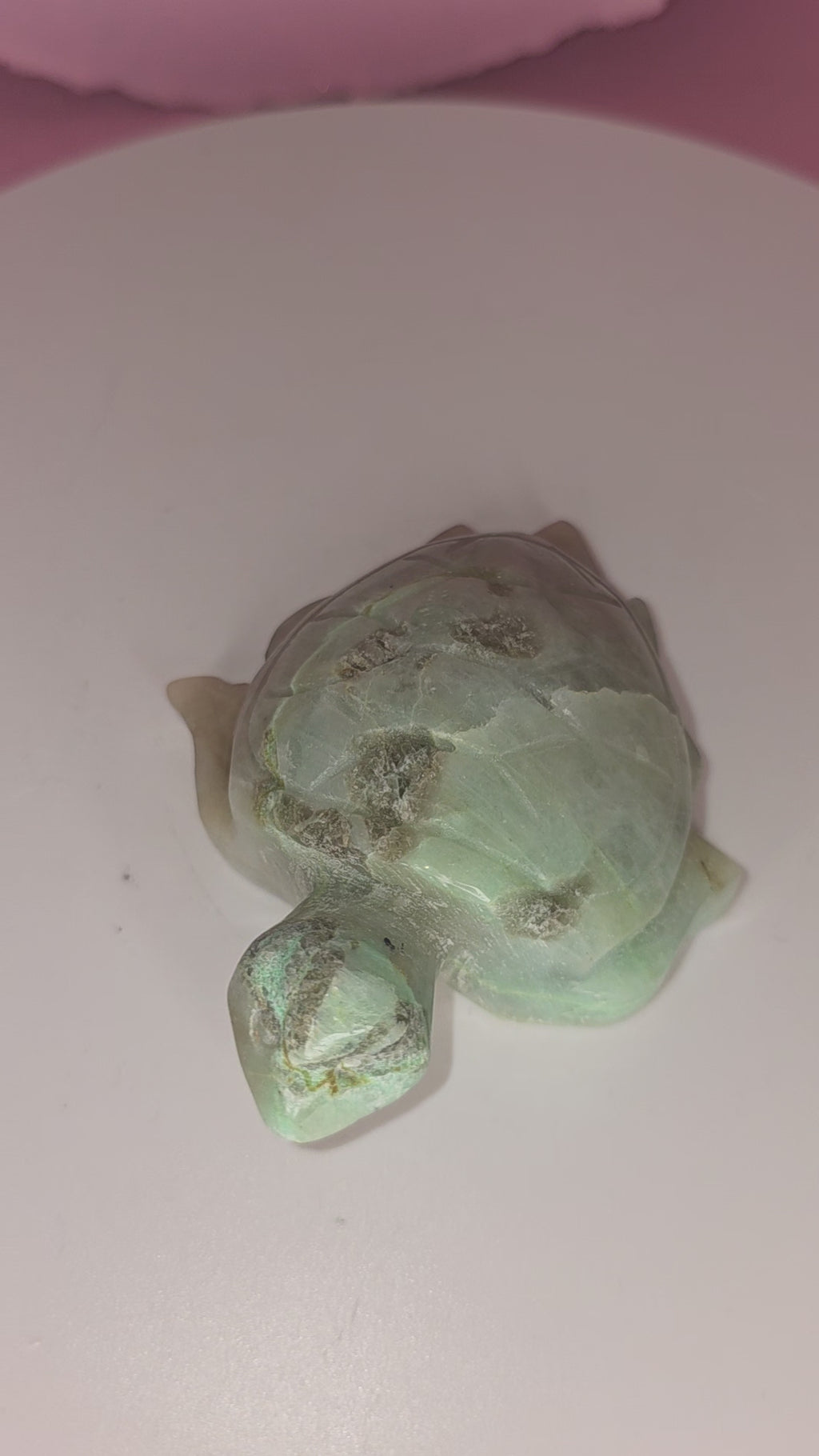 Garnierite Green Moonstone Turtle A