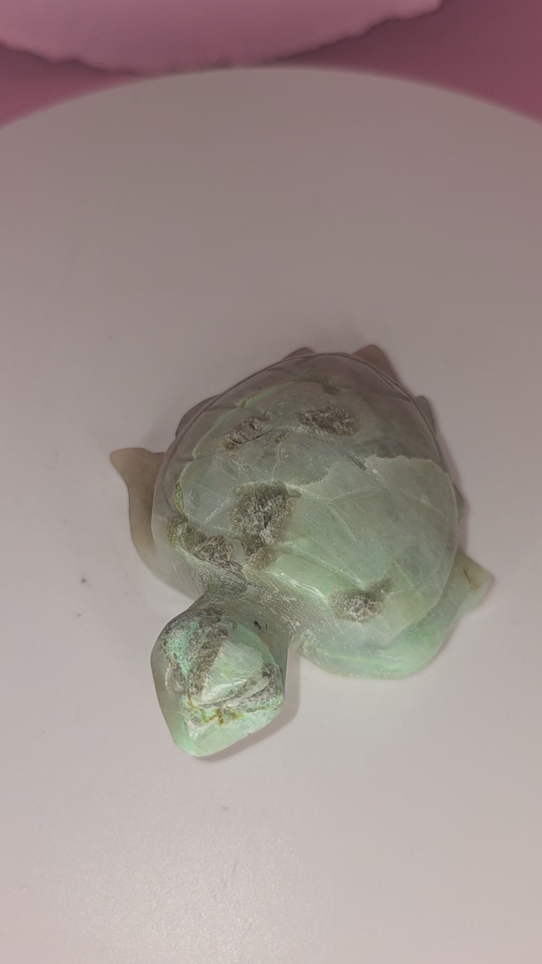Garnierite Green Moonstone Turtle A