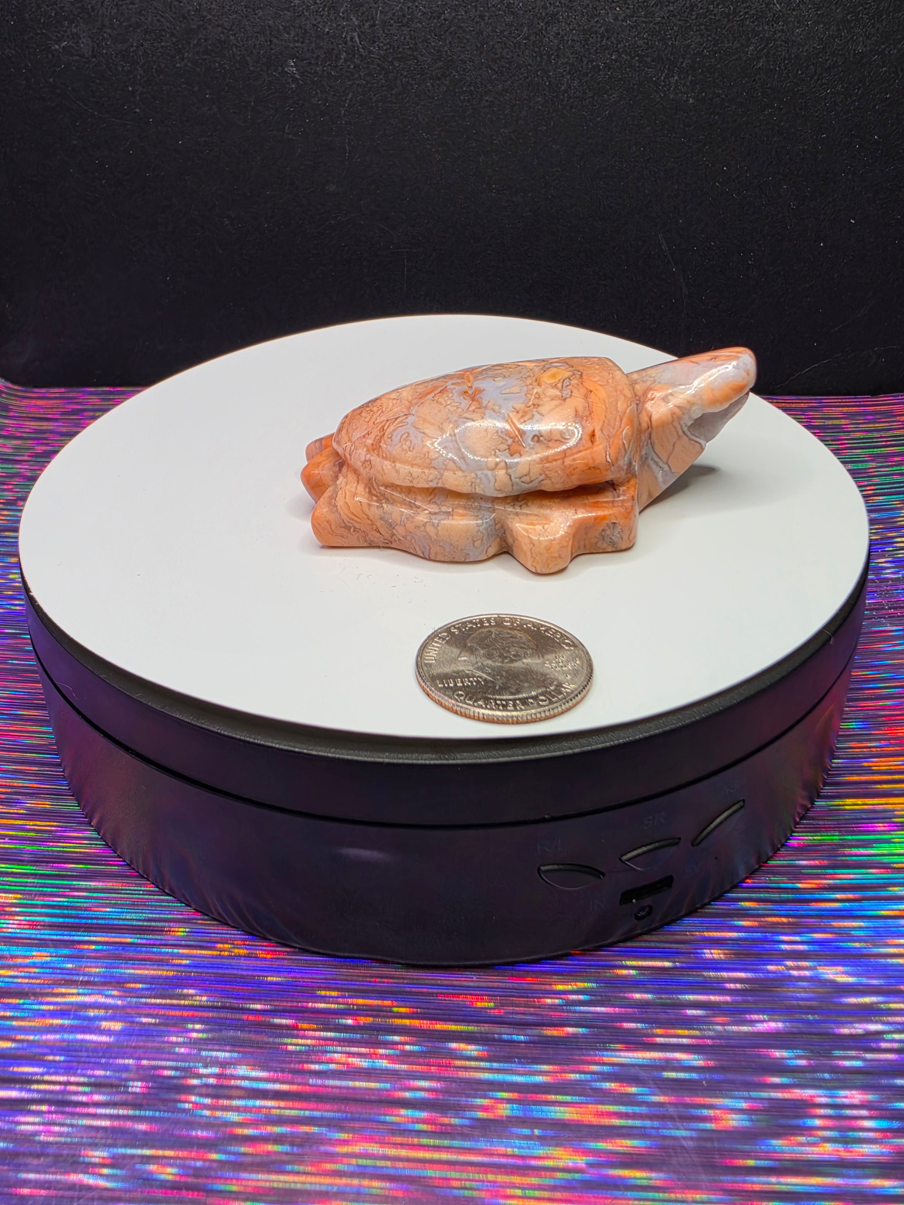 Cotton Candy Agate Turtle A