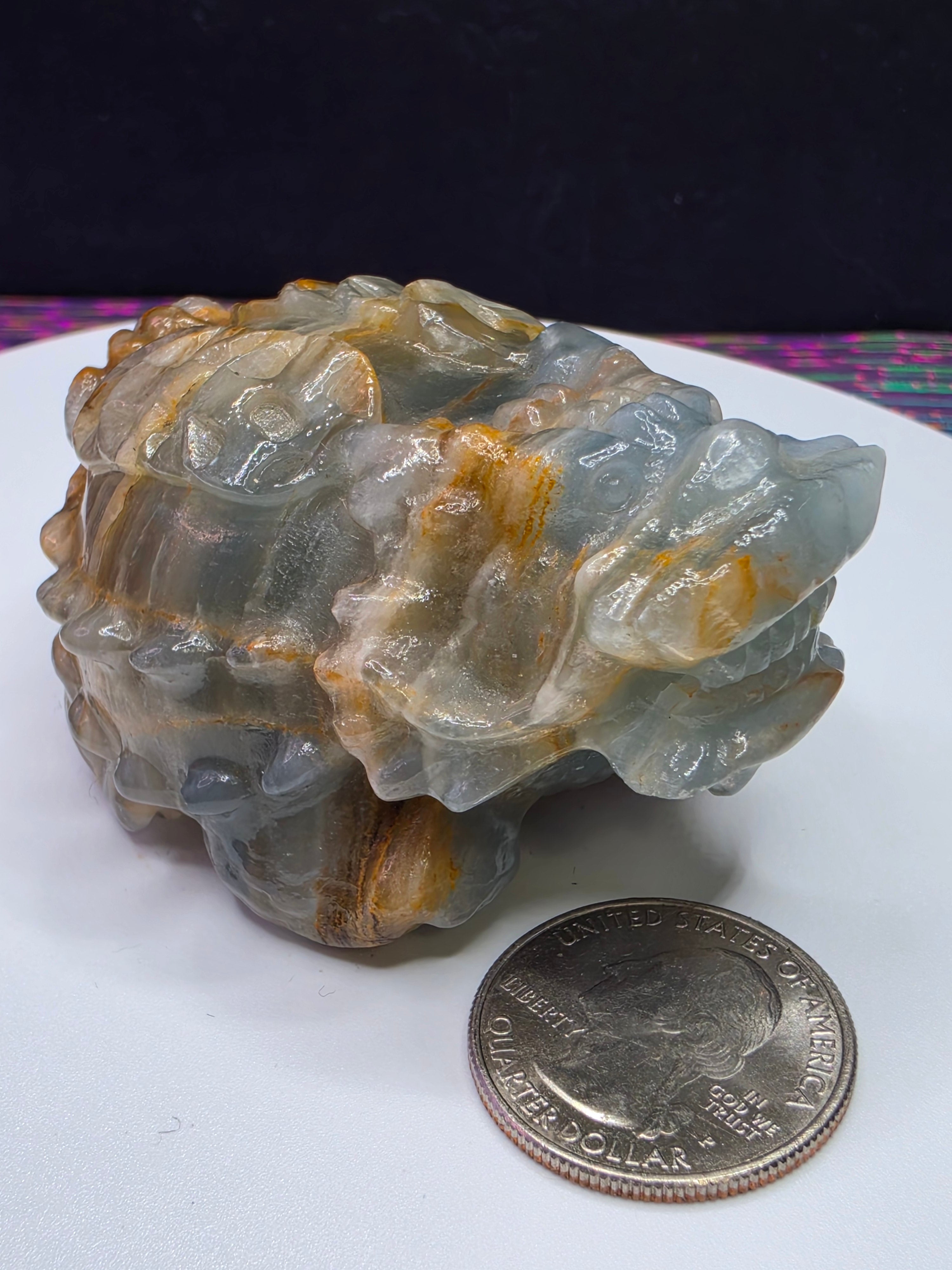 Blue Onyx Lion Turtle