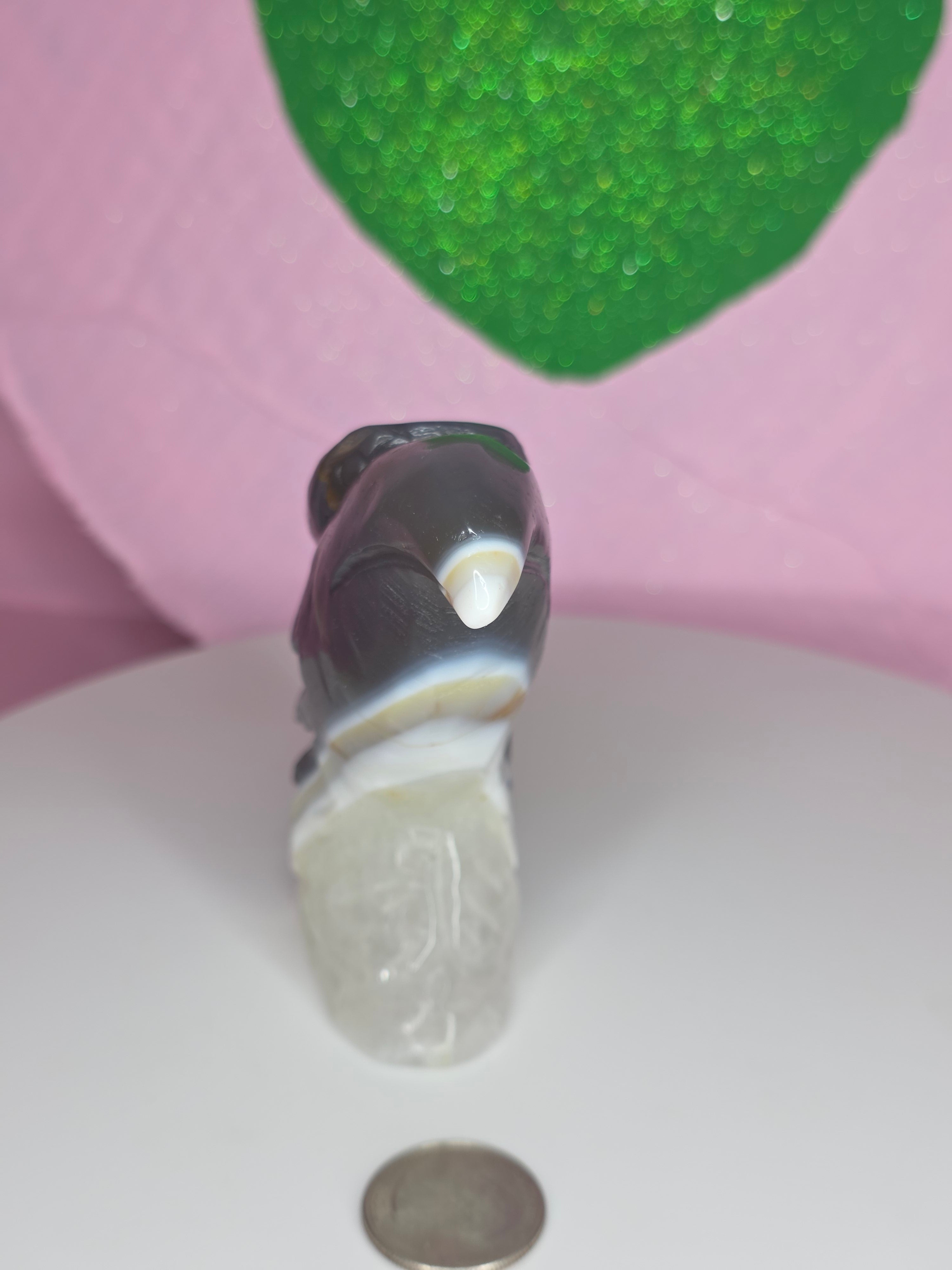 Orca Agate Eagle Head