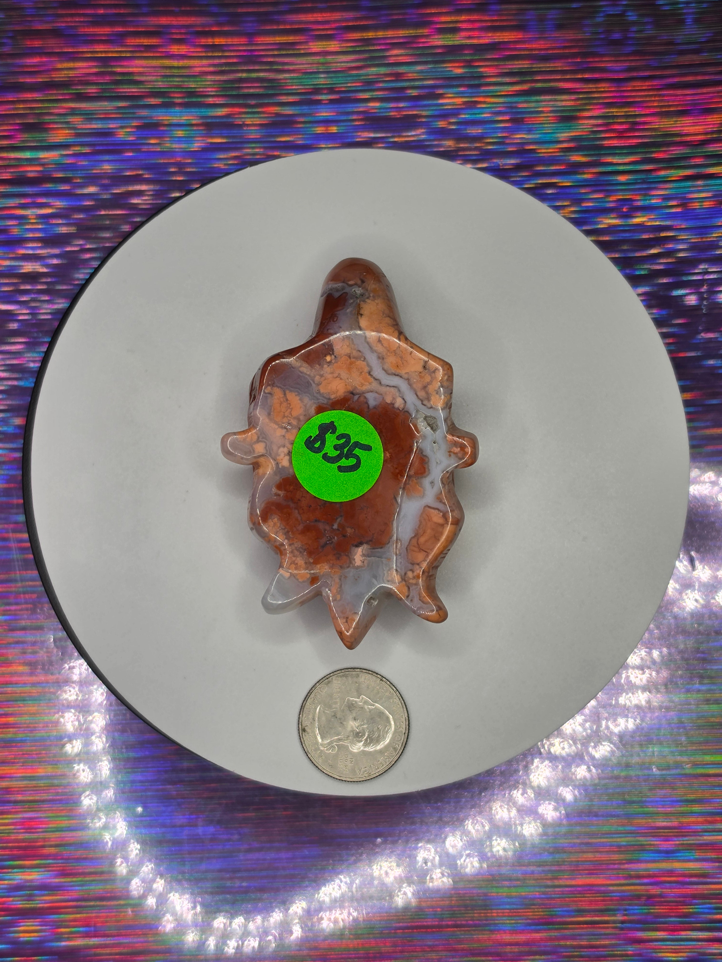 Cotton Candy Agate Turtle B