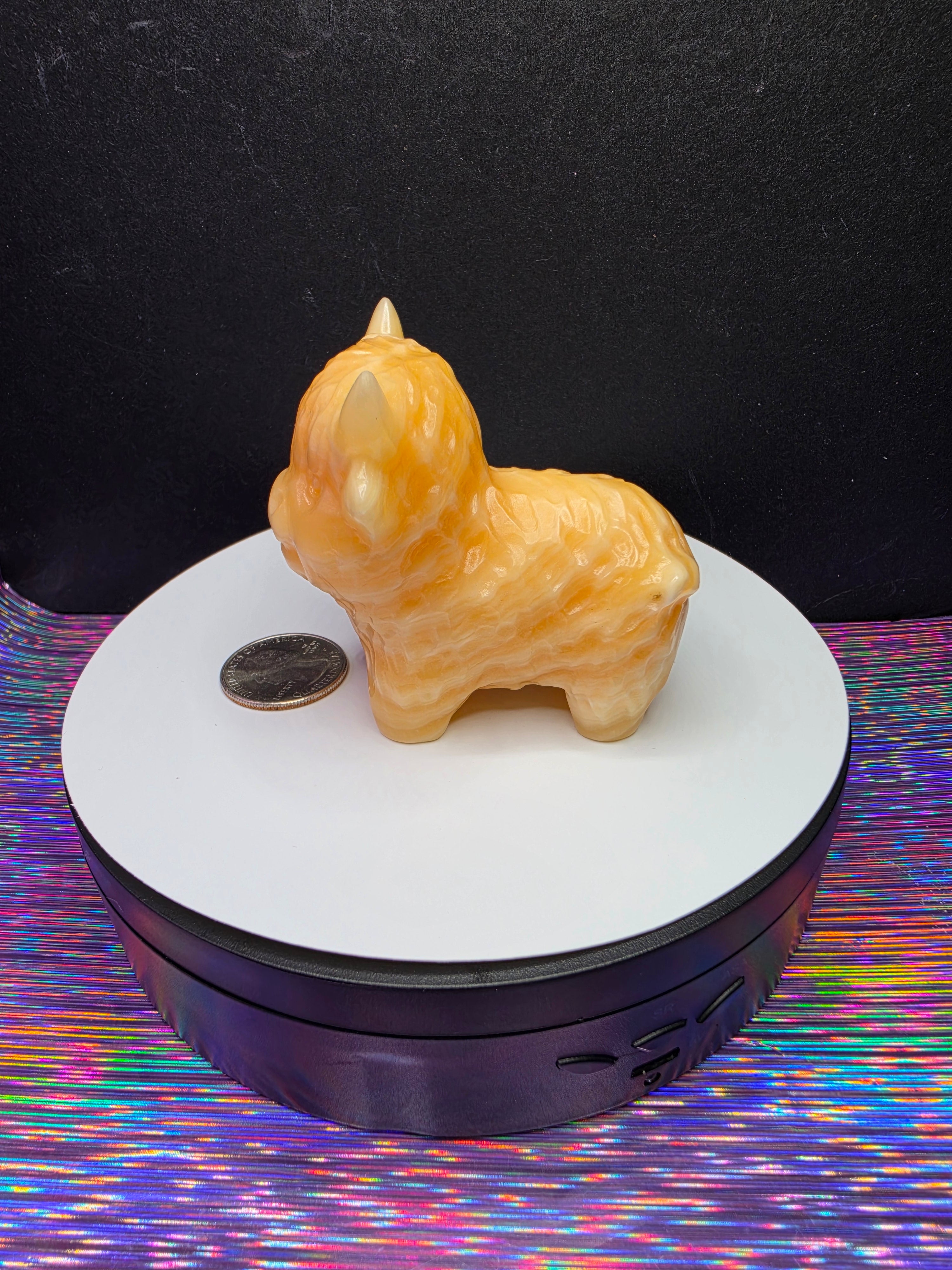 Honey Calcite Highland Cow B