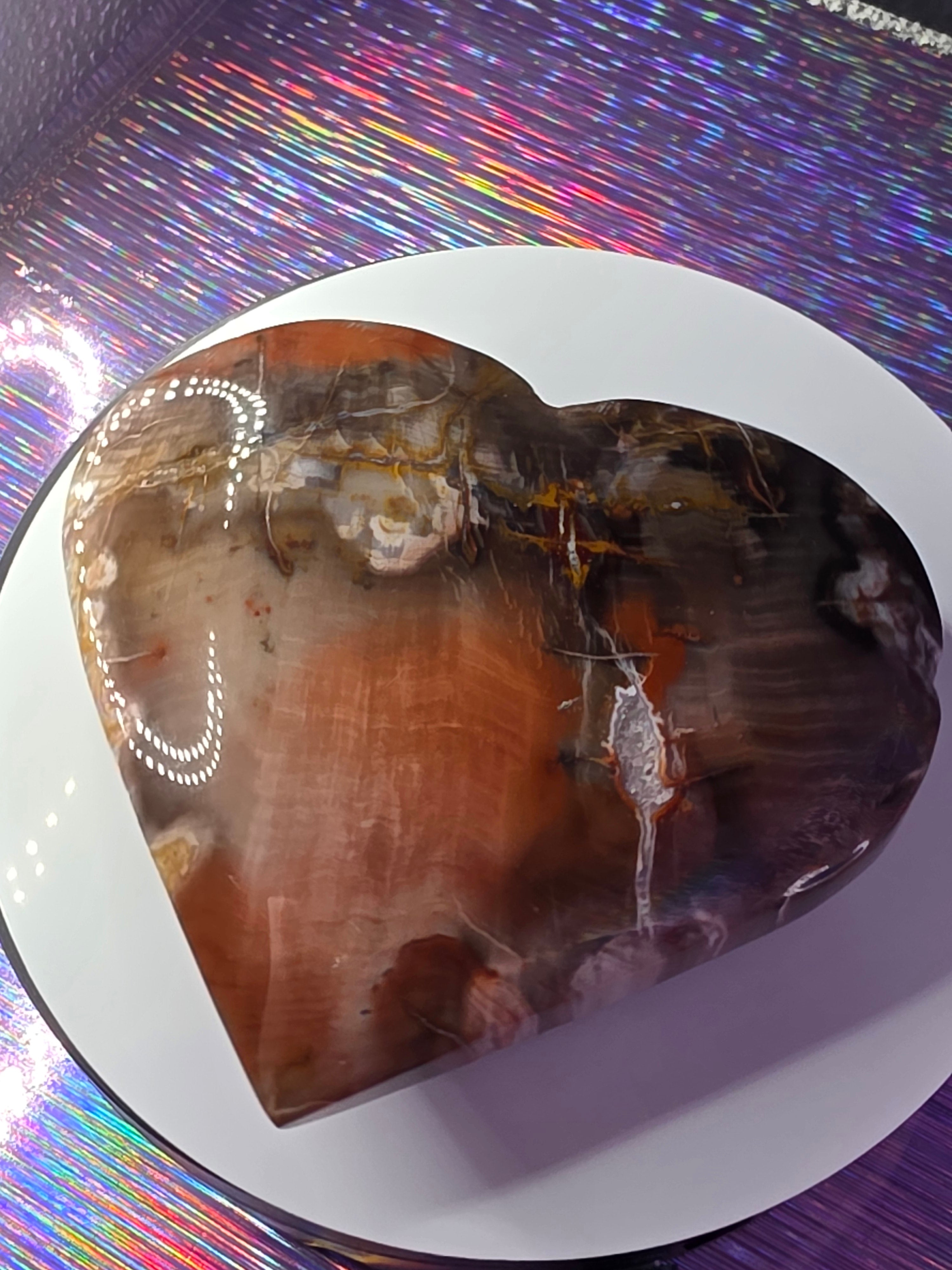 Petrified Wood Heart