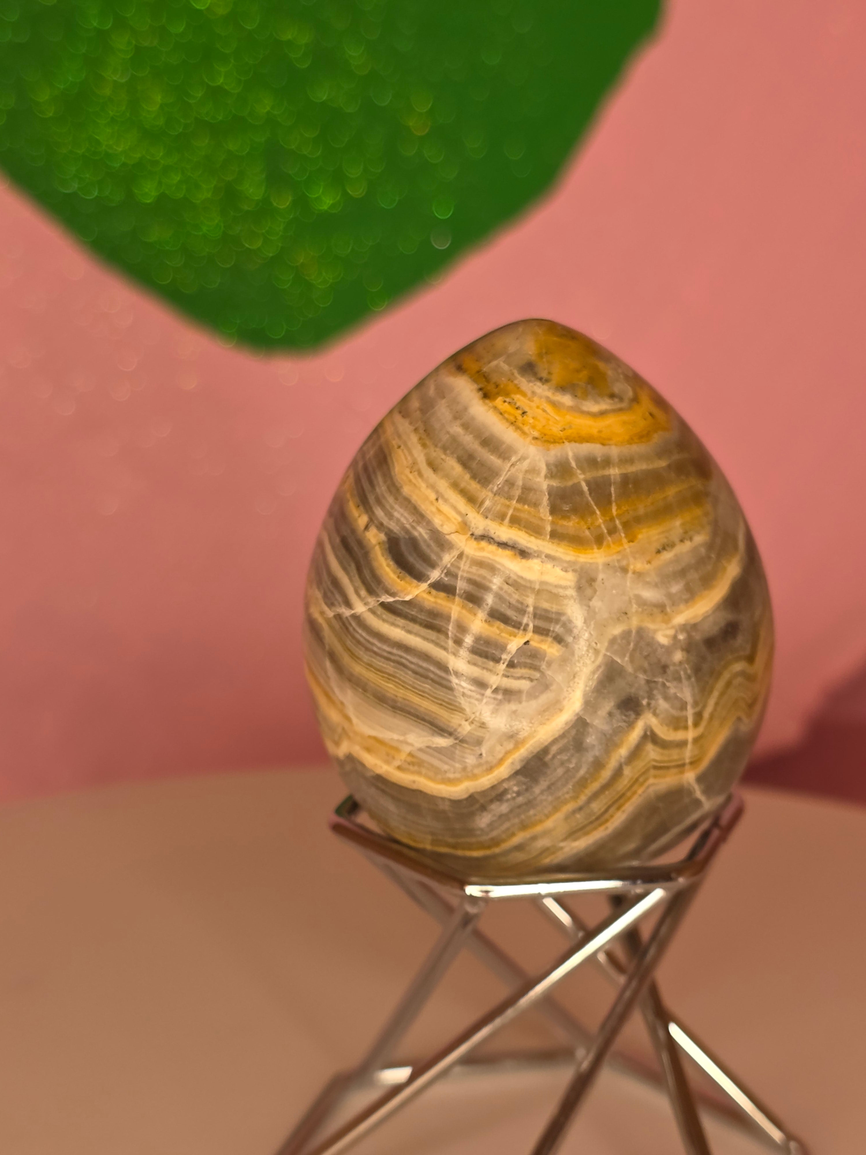 Yellow Banded Onyx Egg B