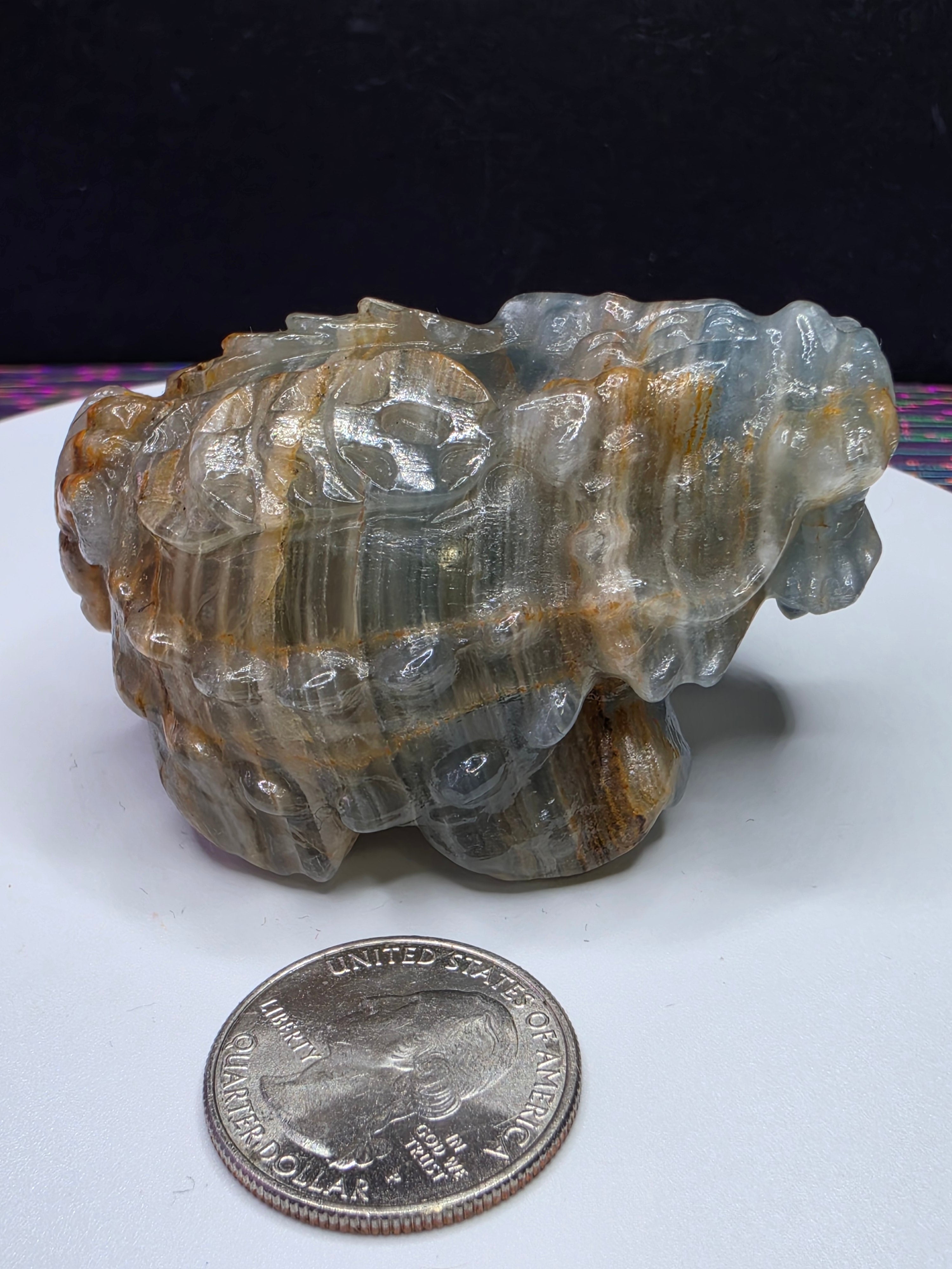 Blue Onyx Lion Turtle