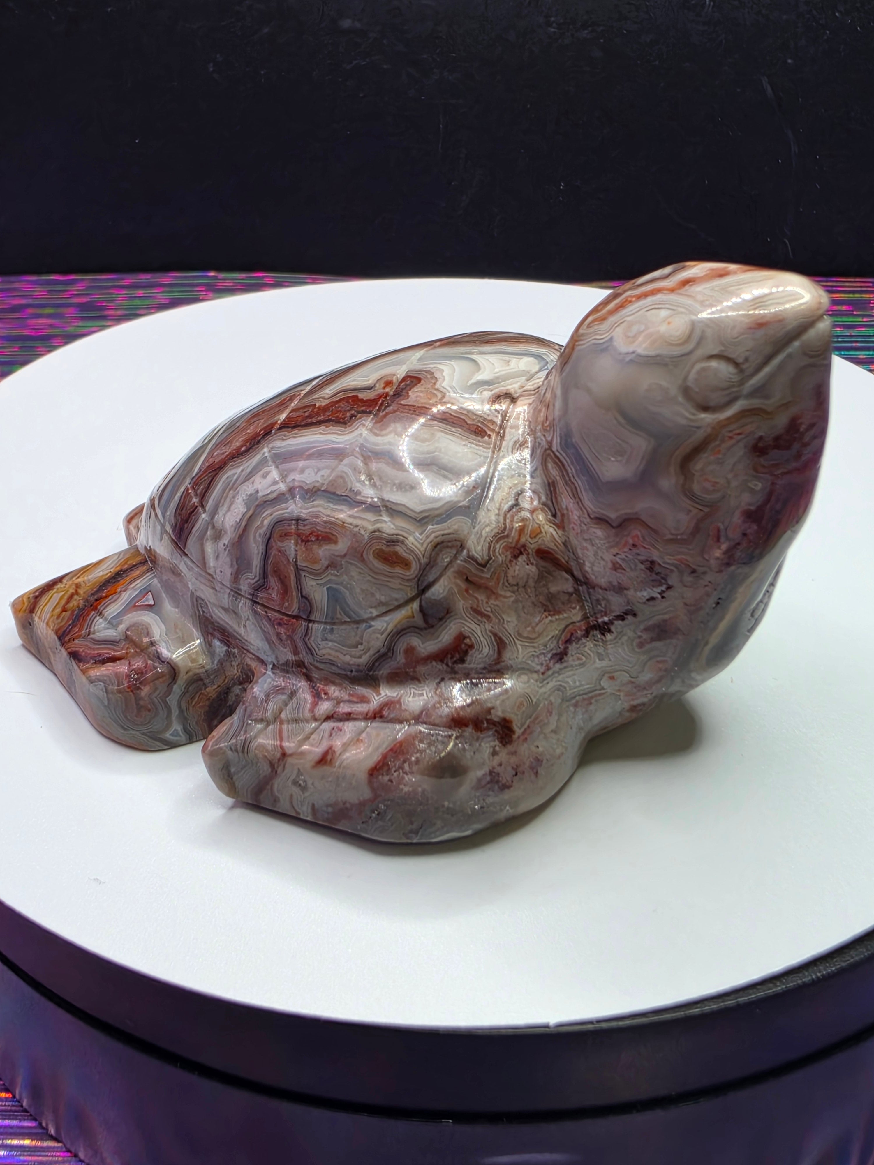 Crazy Lace Agate Turtle A