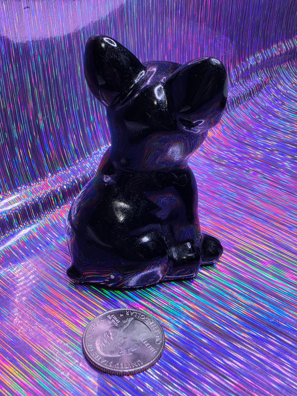 Obsidian French Bulldog