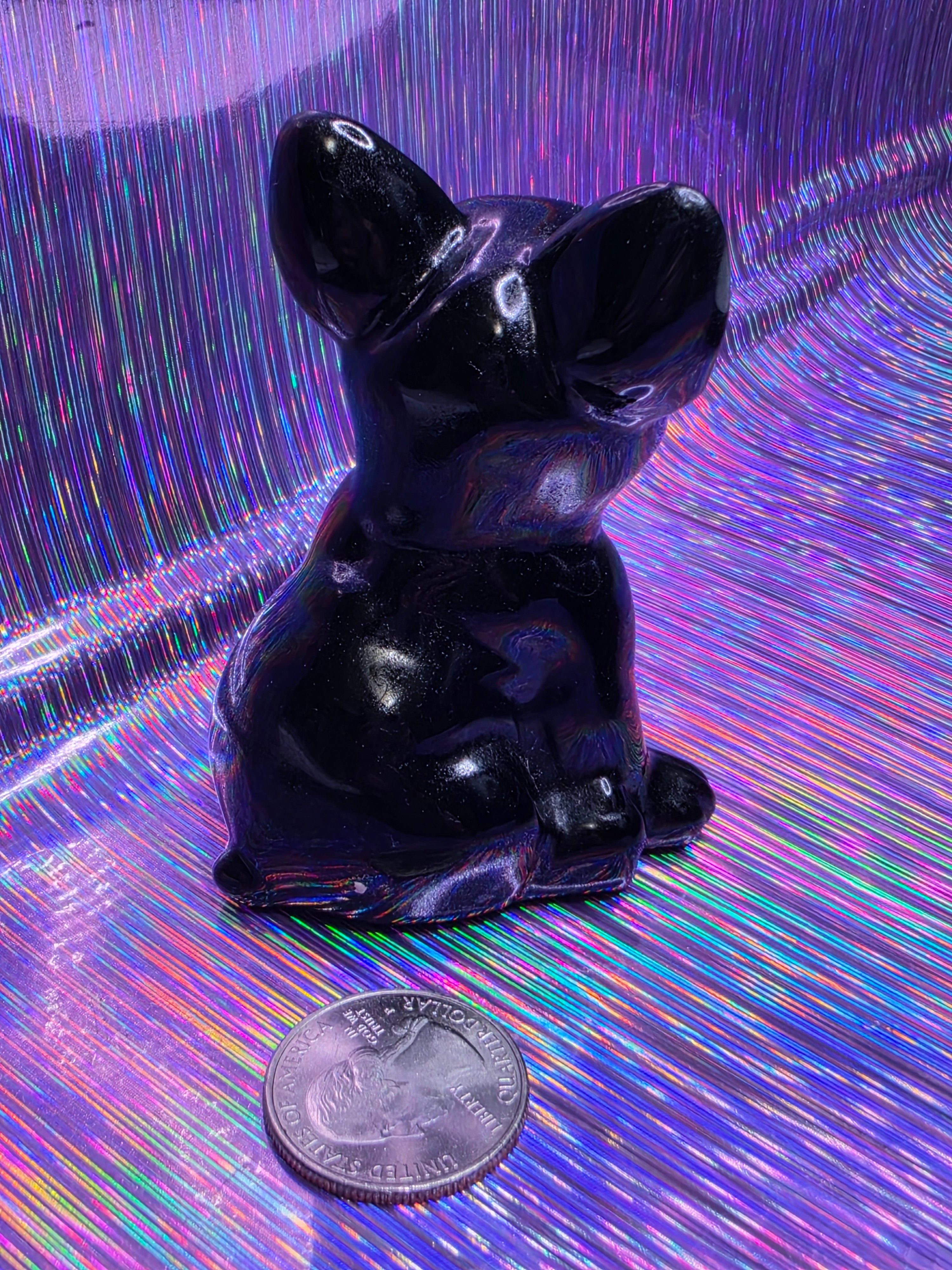 Obsidian French Bulldog