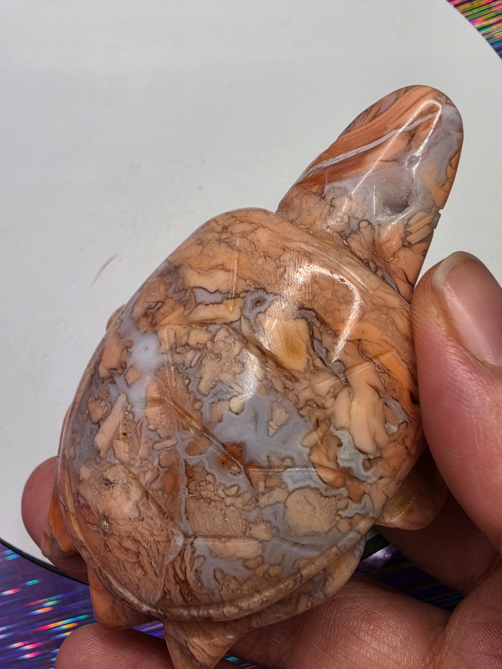 Cotton Candy Agate Turtle A