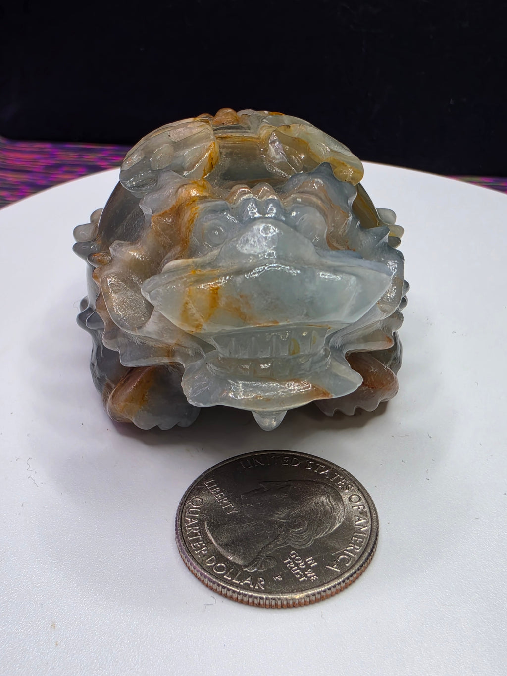 Blue Onyx Lion Turtle
