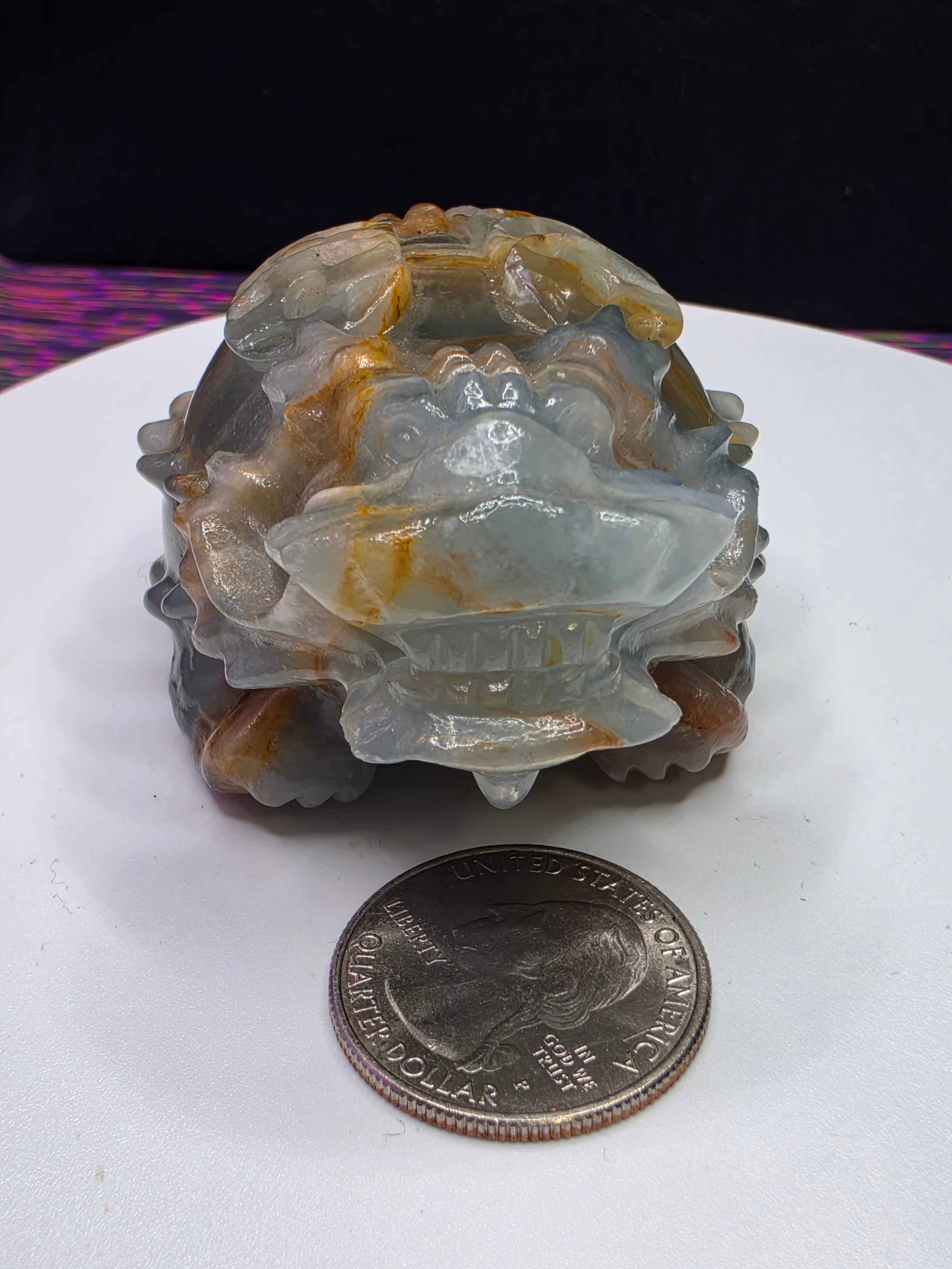 Blue Onyx Lion Turtle