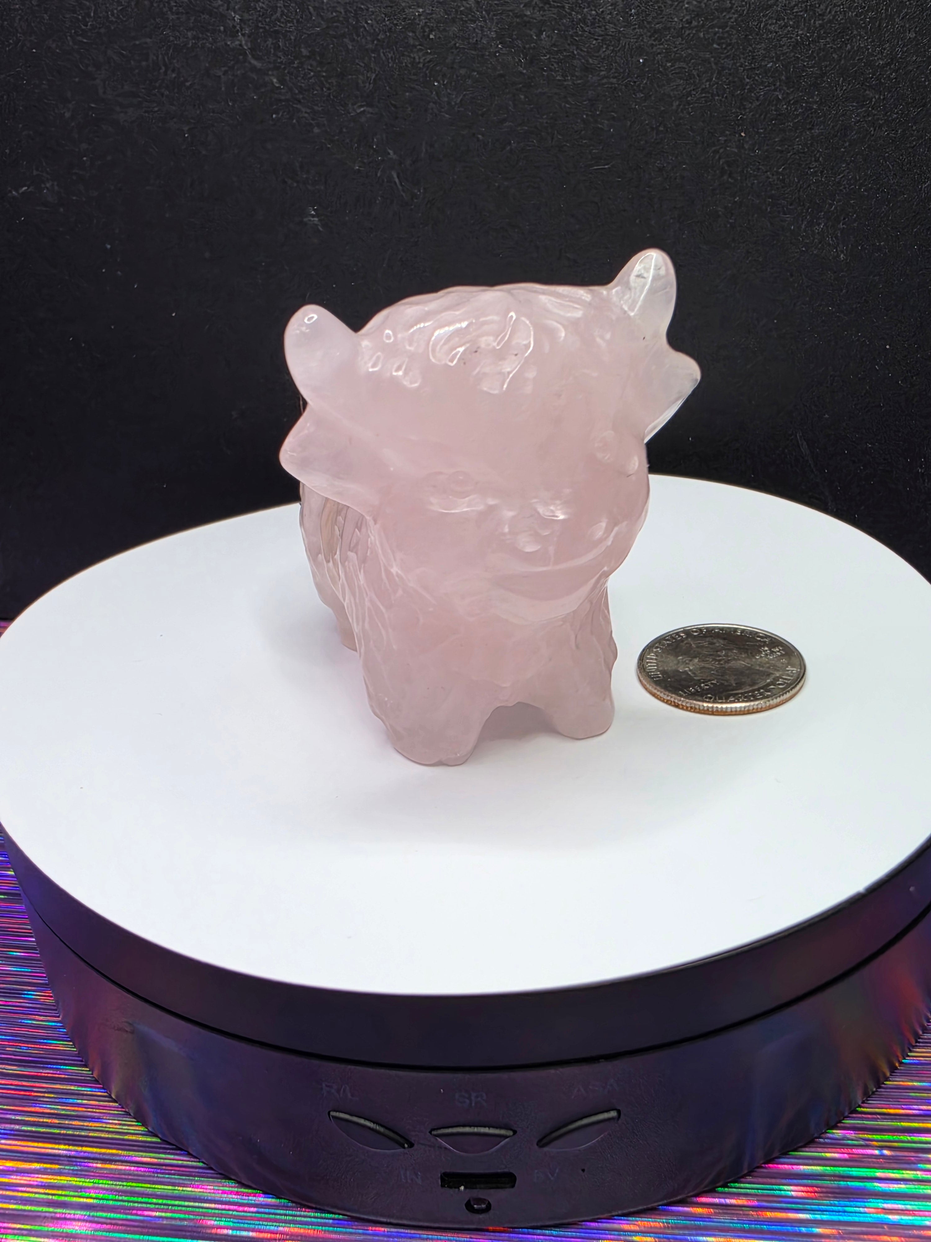 Rose Quartz Highland Cow A