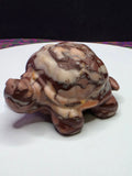 Chocolate Calcite Turtle