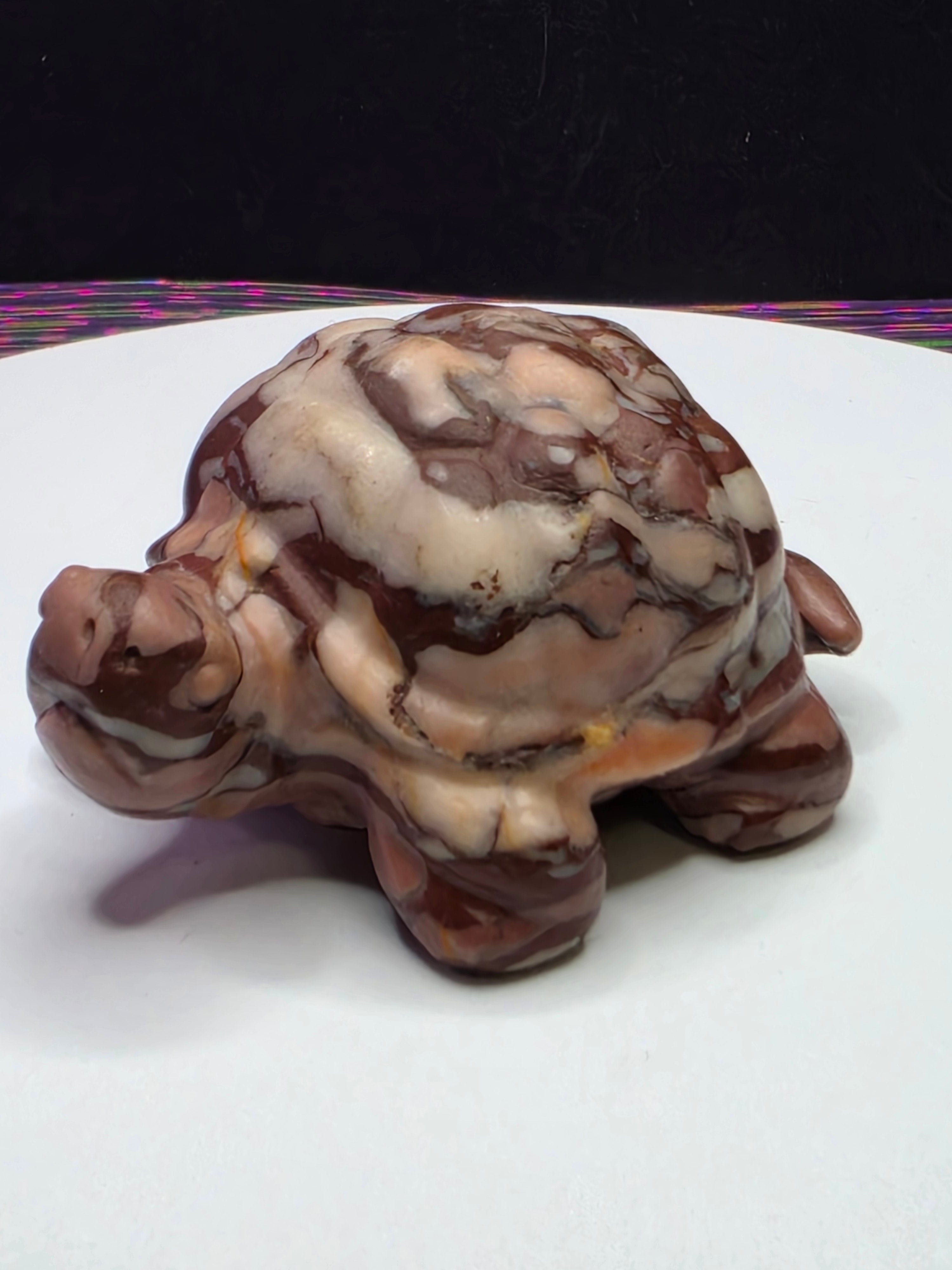 Chocolate Calcite Turtle