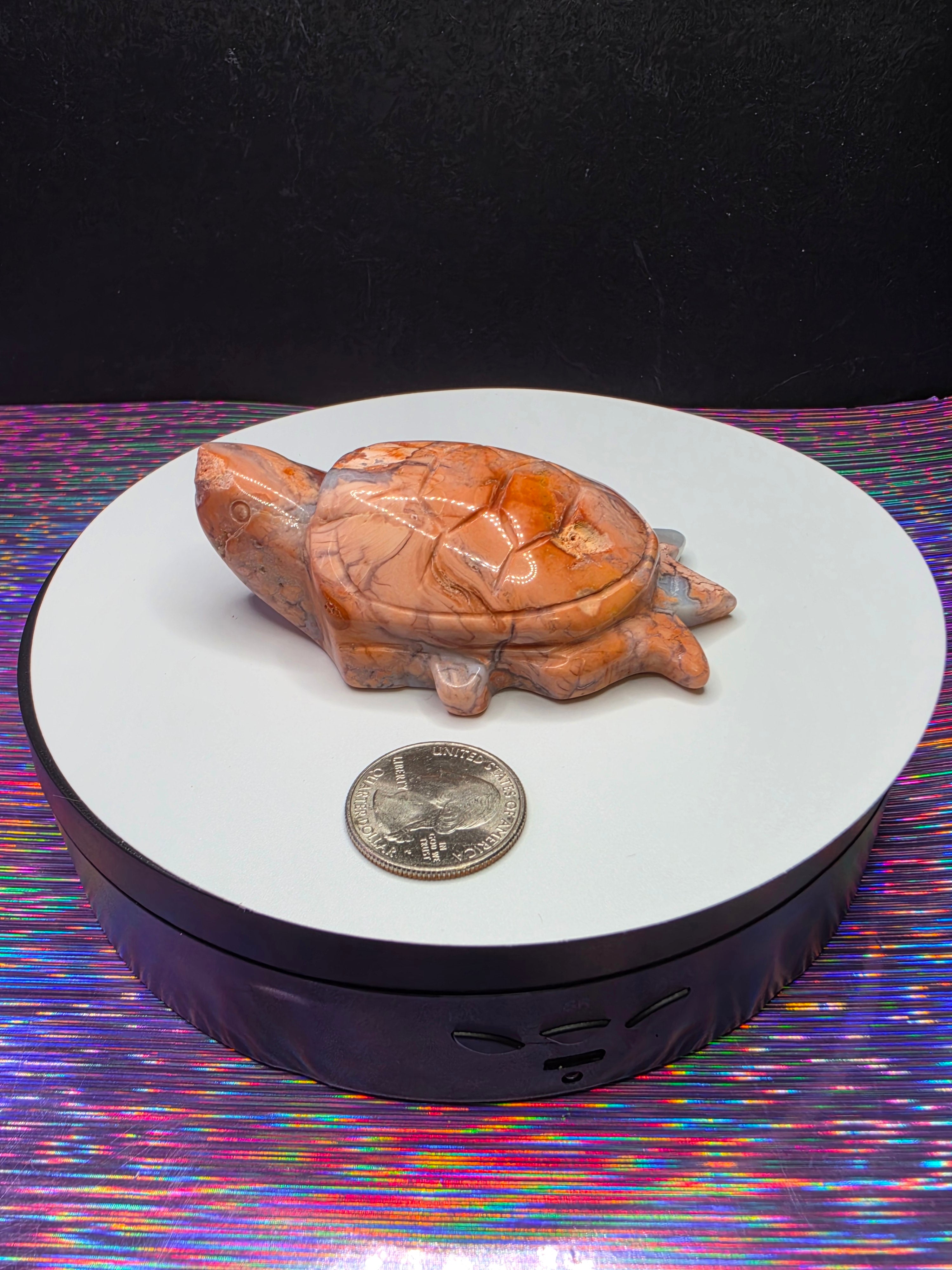 Cotton Candy Agate Turtle B