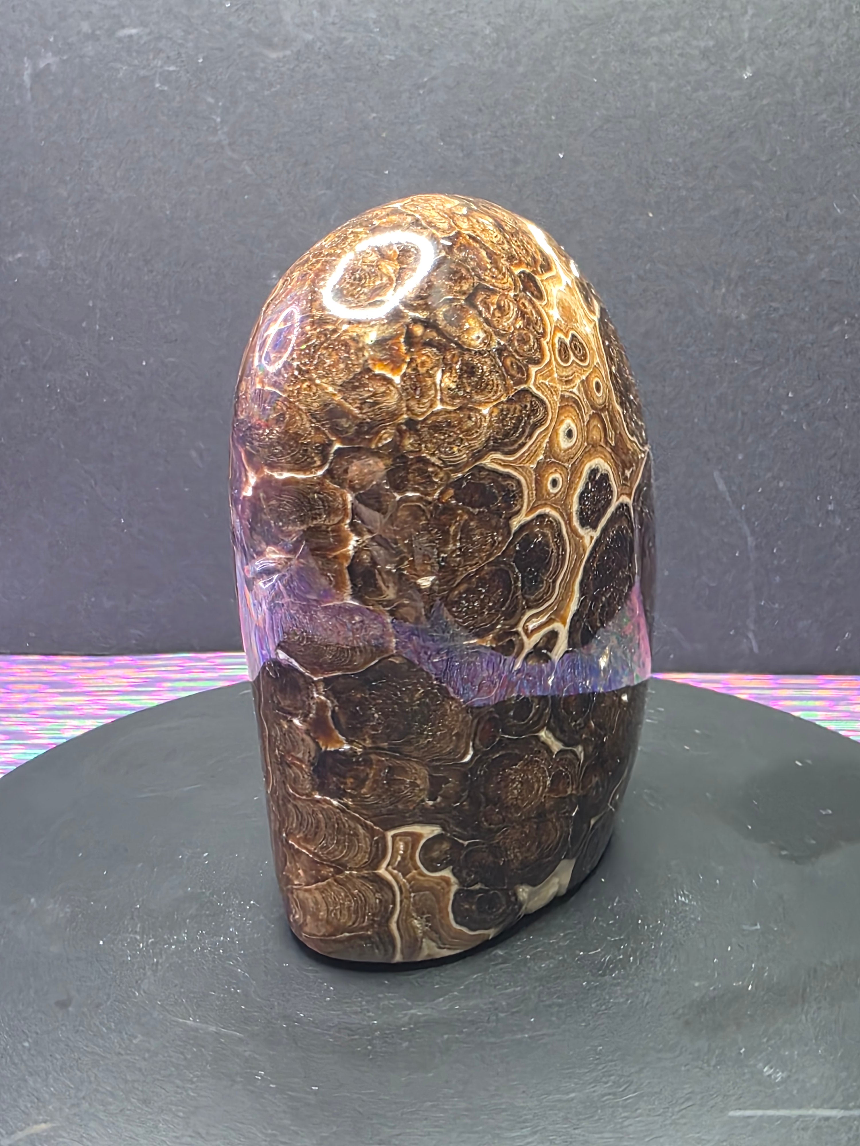 Chocolate Calcite Freeform B