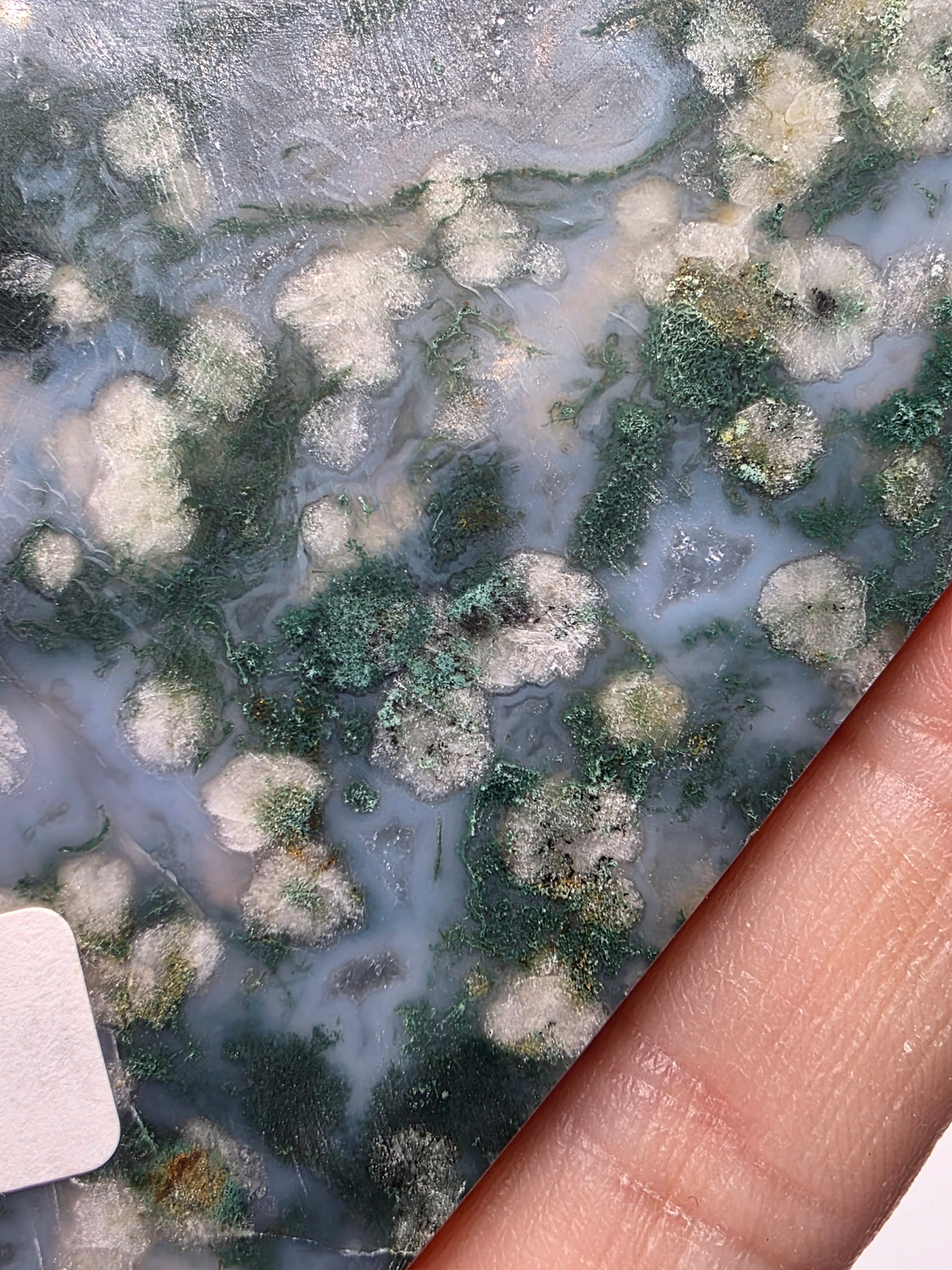 Snowflake Moss Agate Heart A
