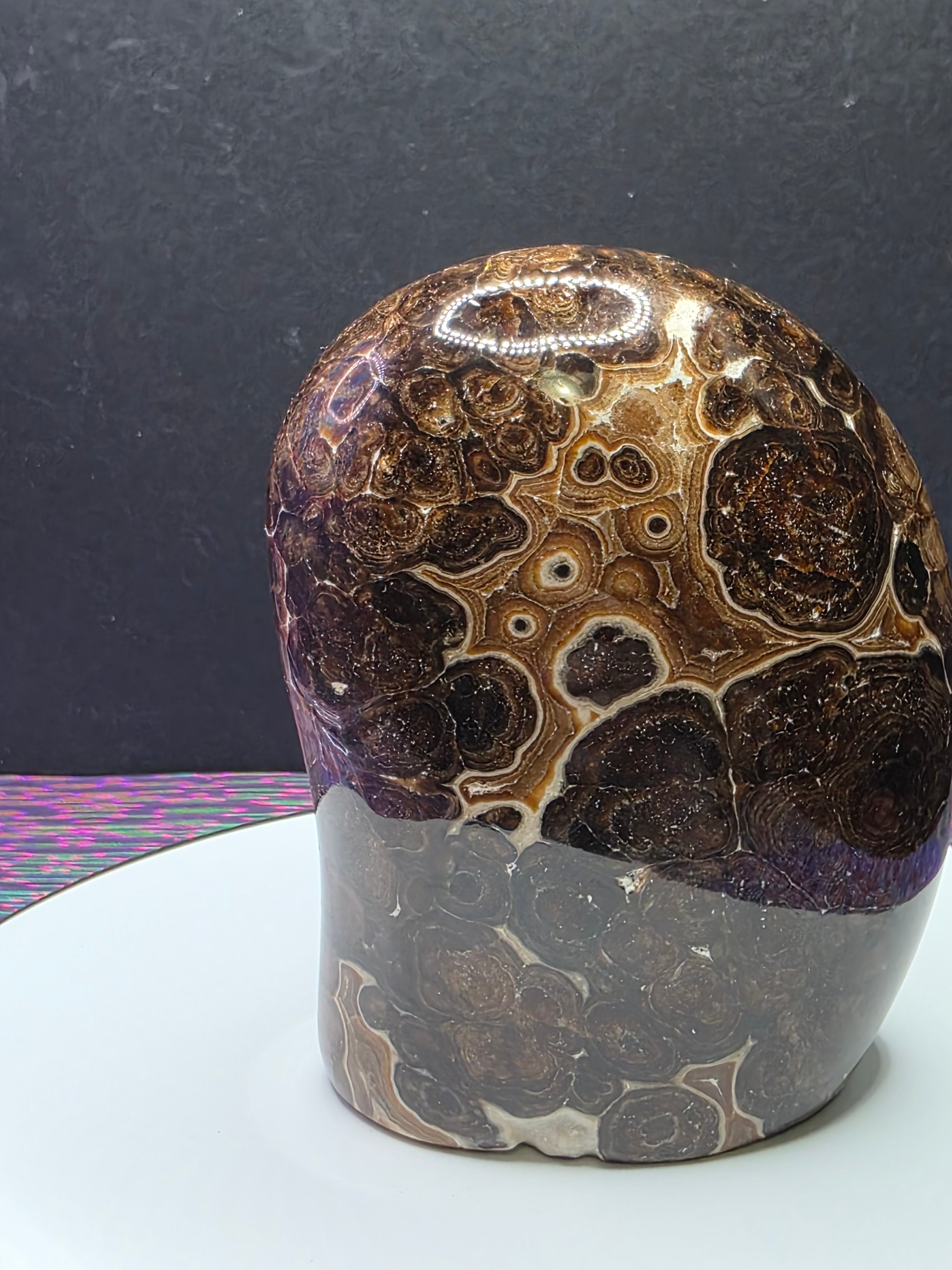 Chocolate Calcite Freeform B