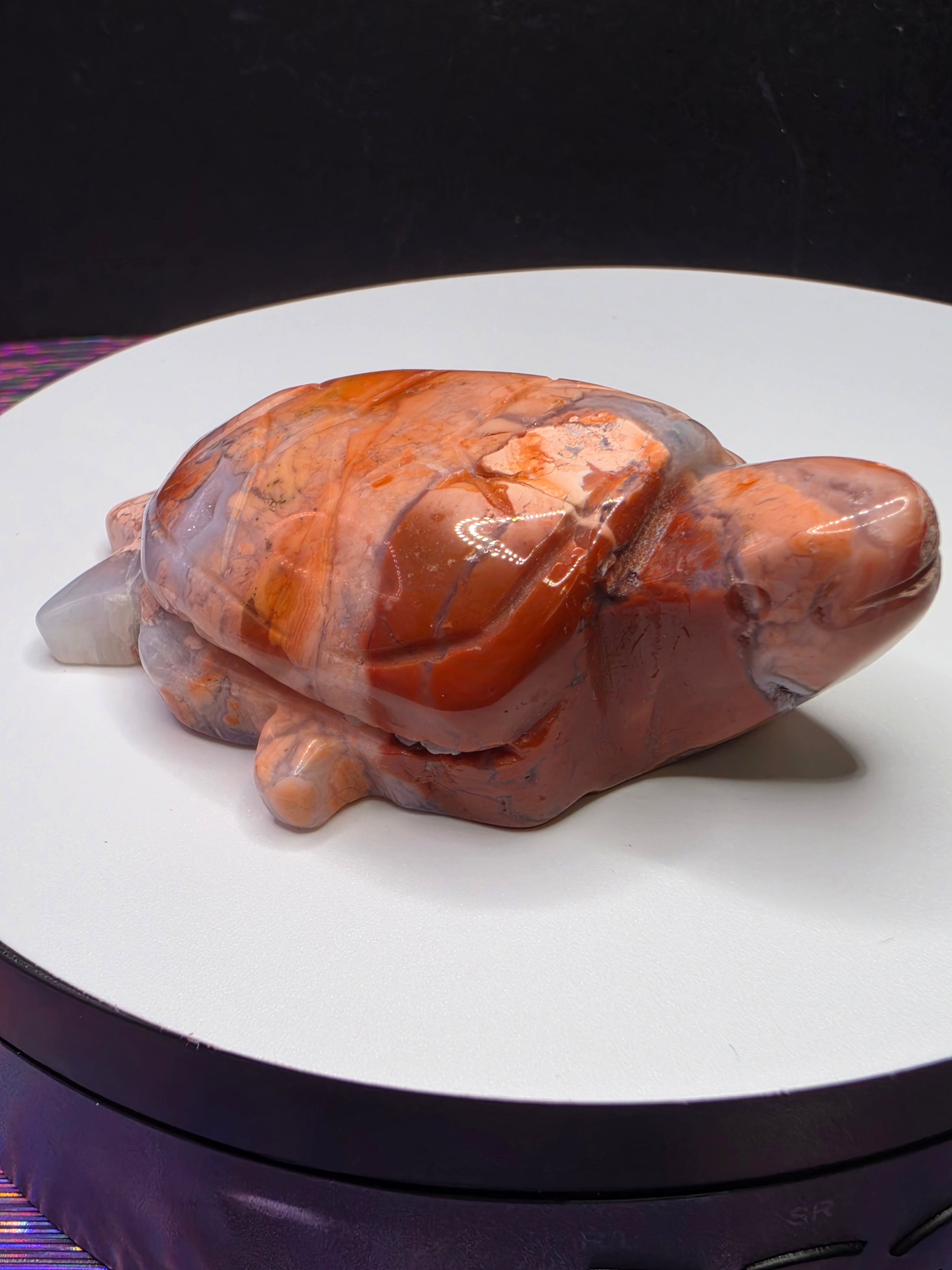Cotton Candy Agate Turtle B