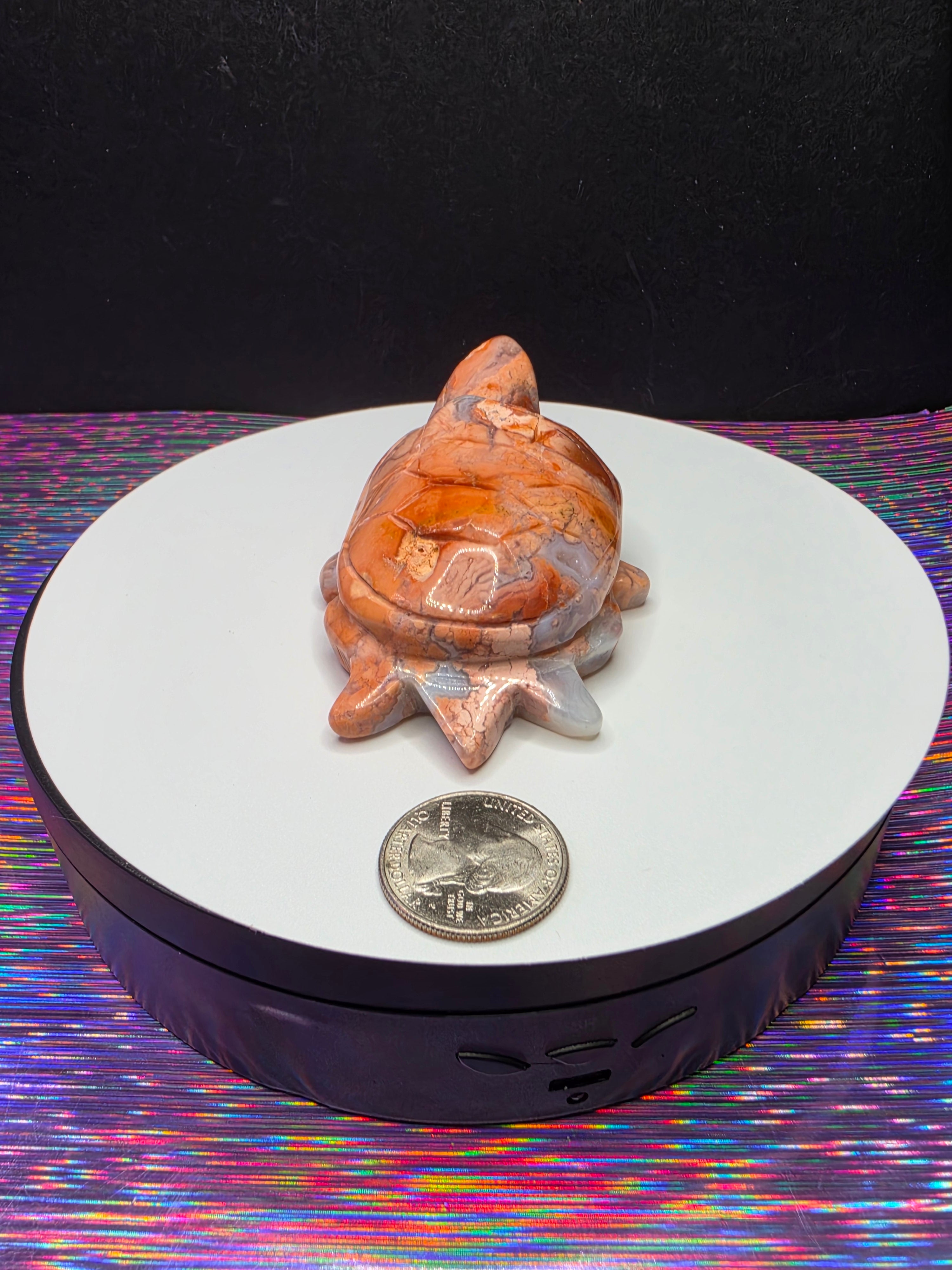 Cotton Candy Agate Turtle B