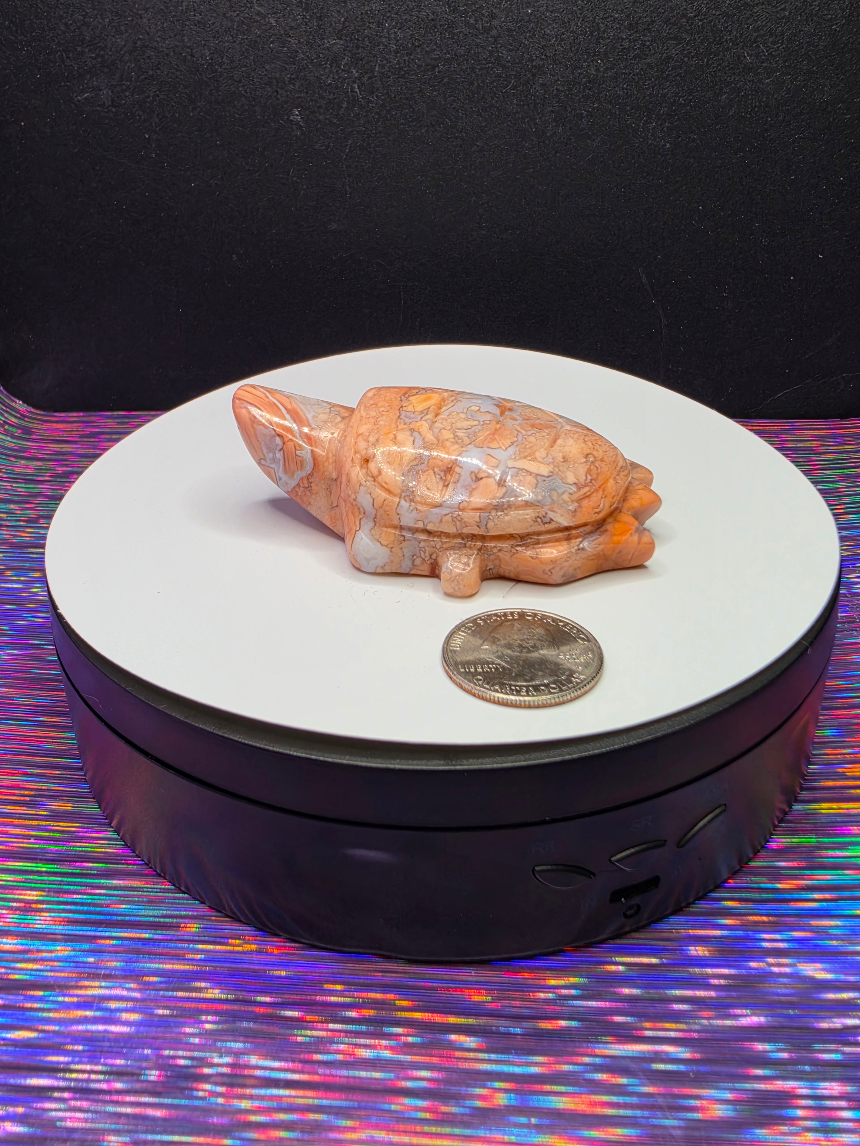 Cotton Candy Agate Turtle A