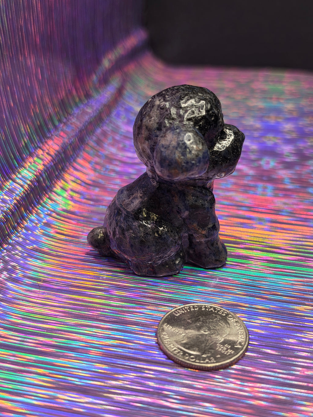 Sodalite "Wishes" Dog C
