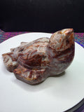 Crazy Lace Agate Turtle B