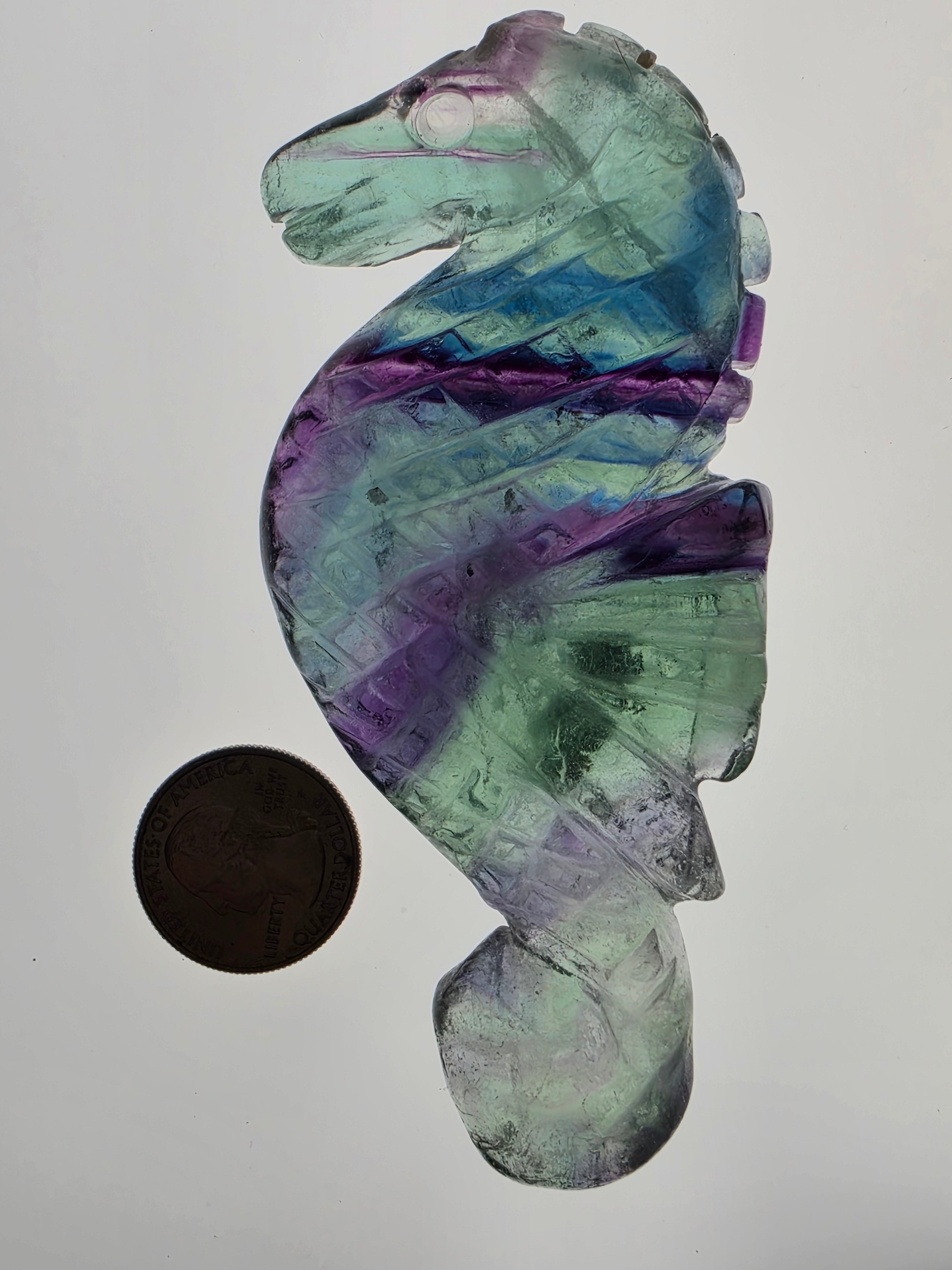 Fluorite Seahorse D