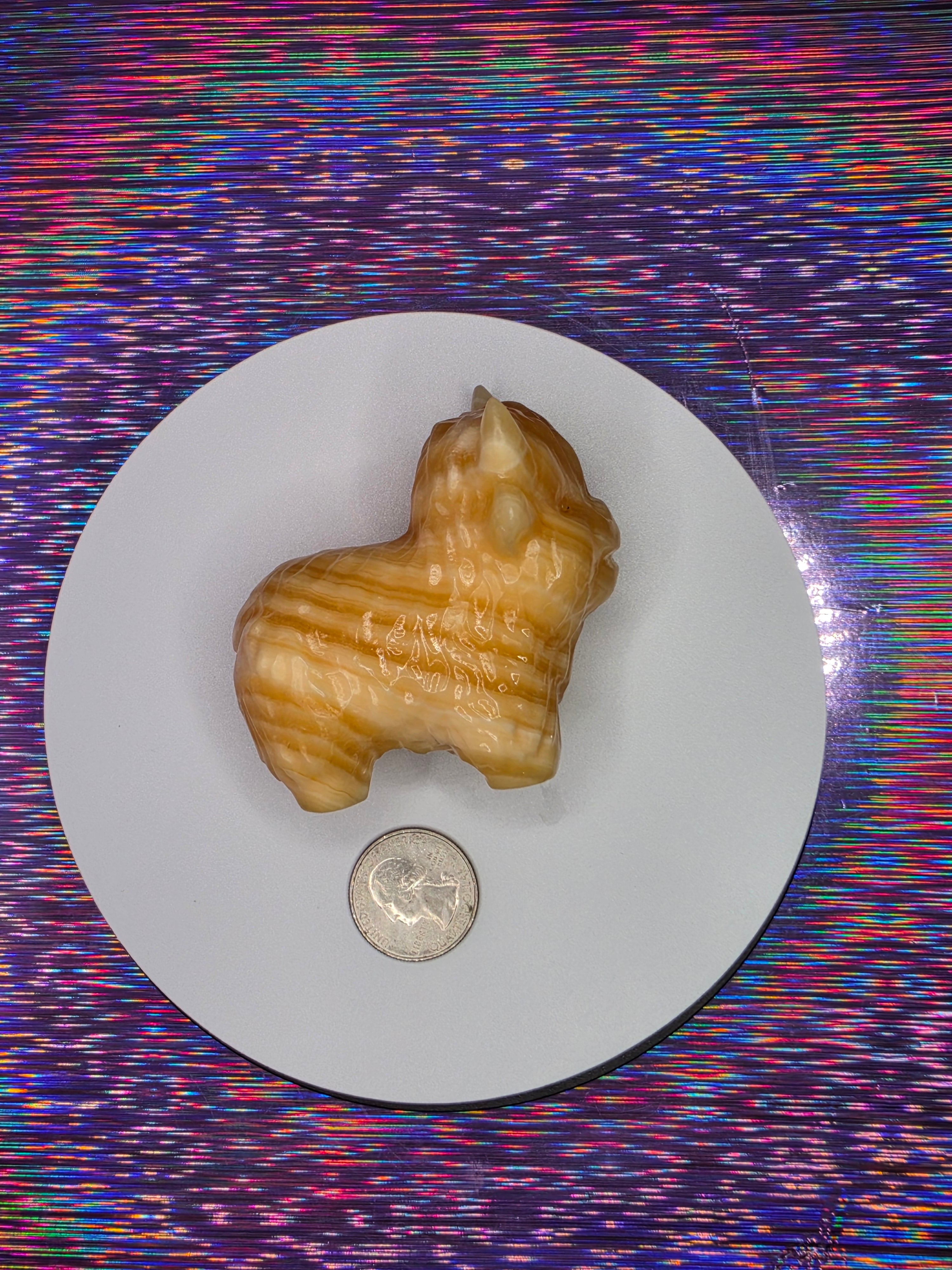 Honey Calcite Highland Cow B