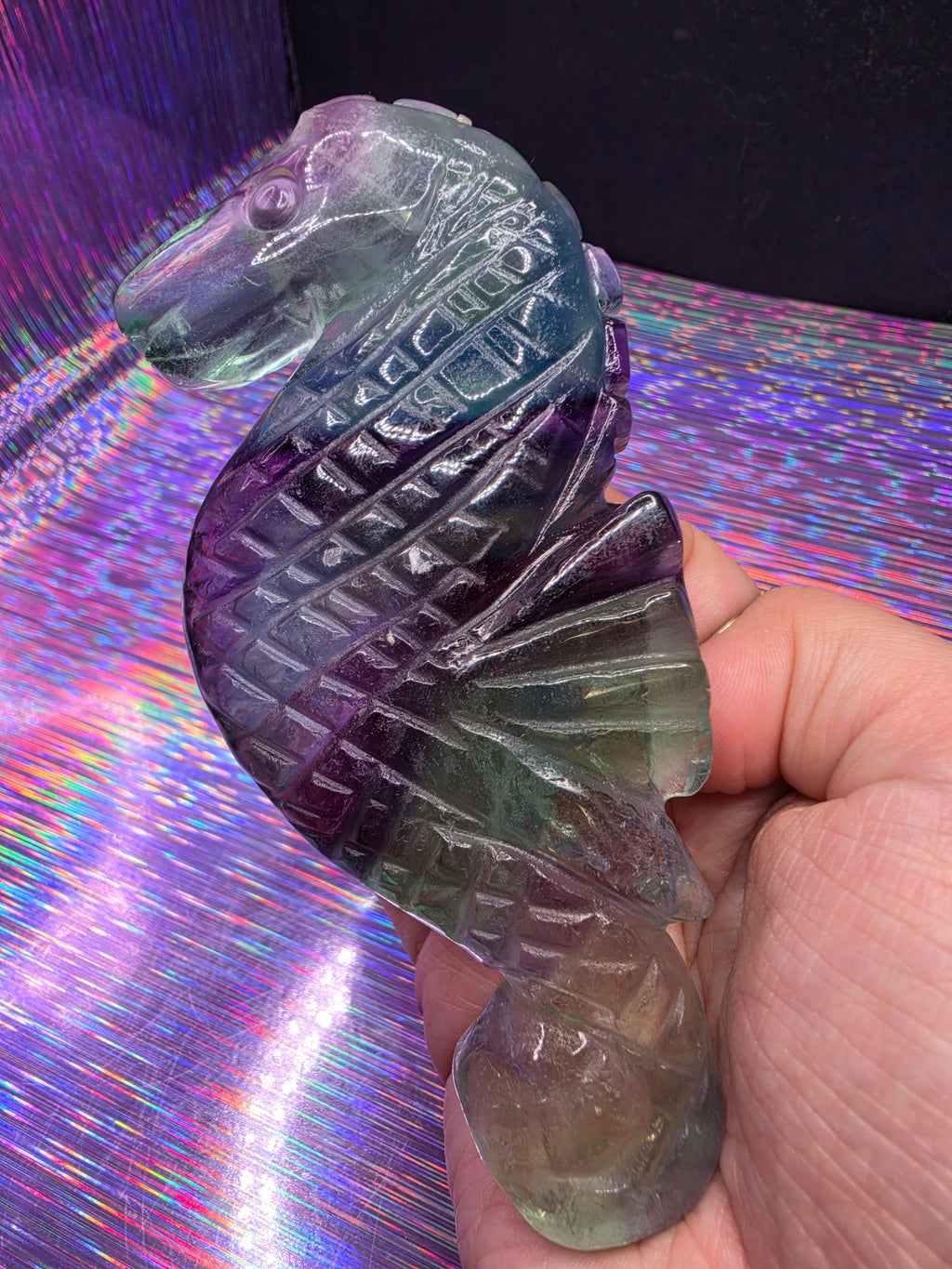 Fluorite Seahorse D