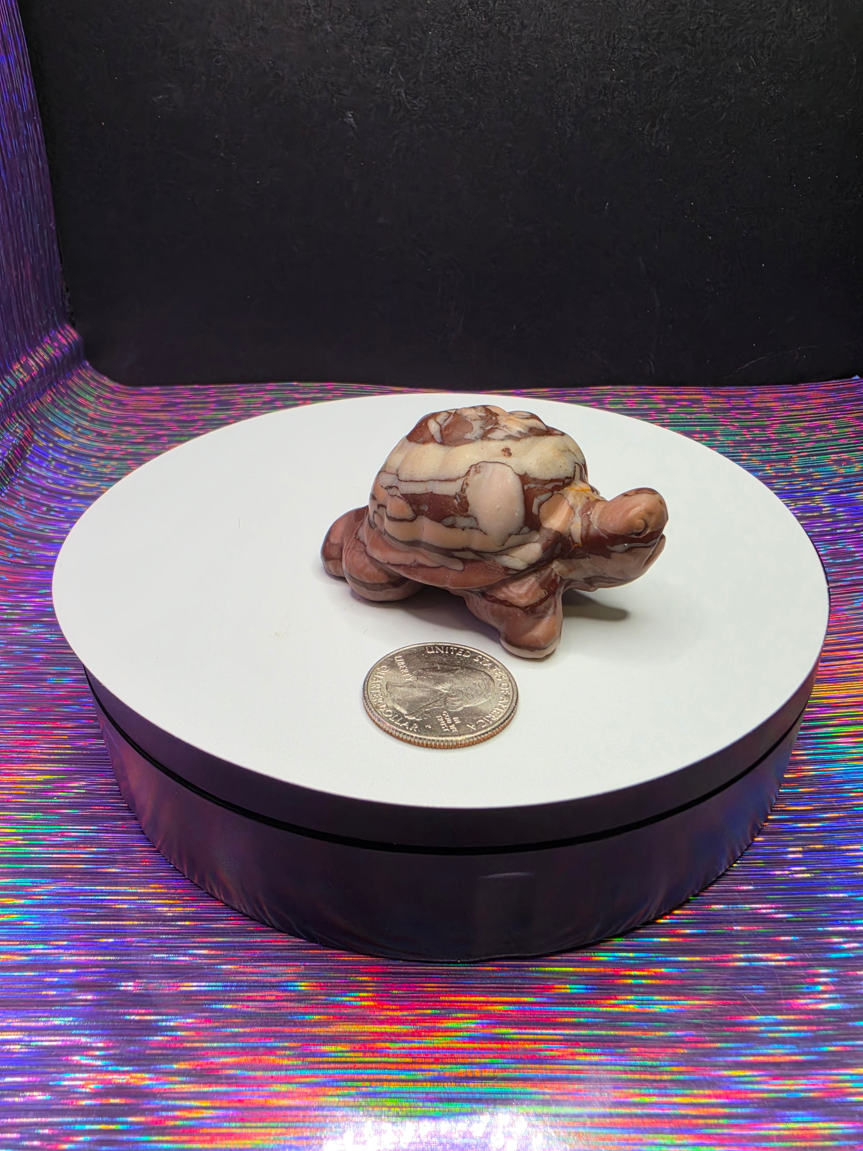 Chocolate Calcite Turtle