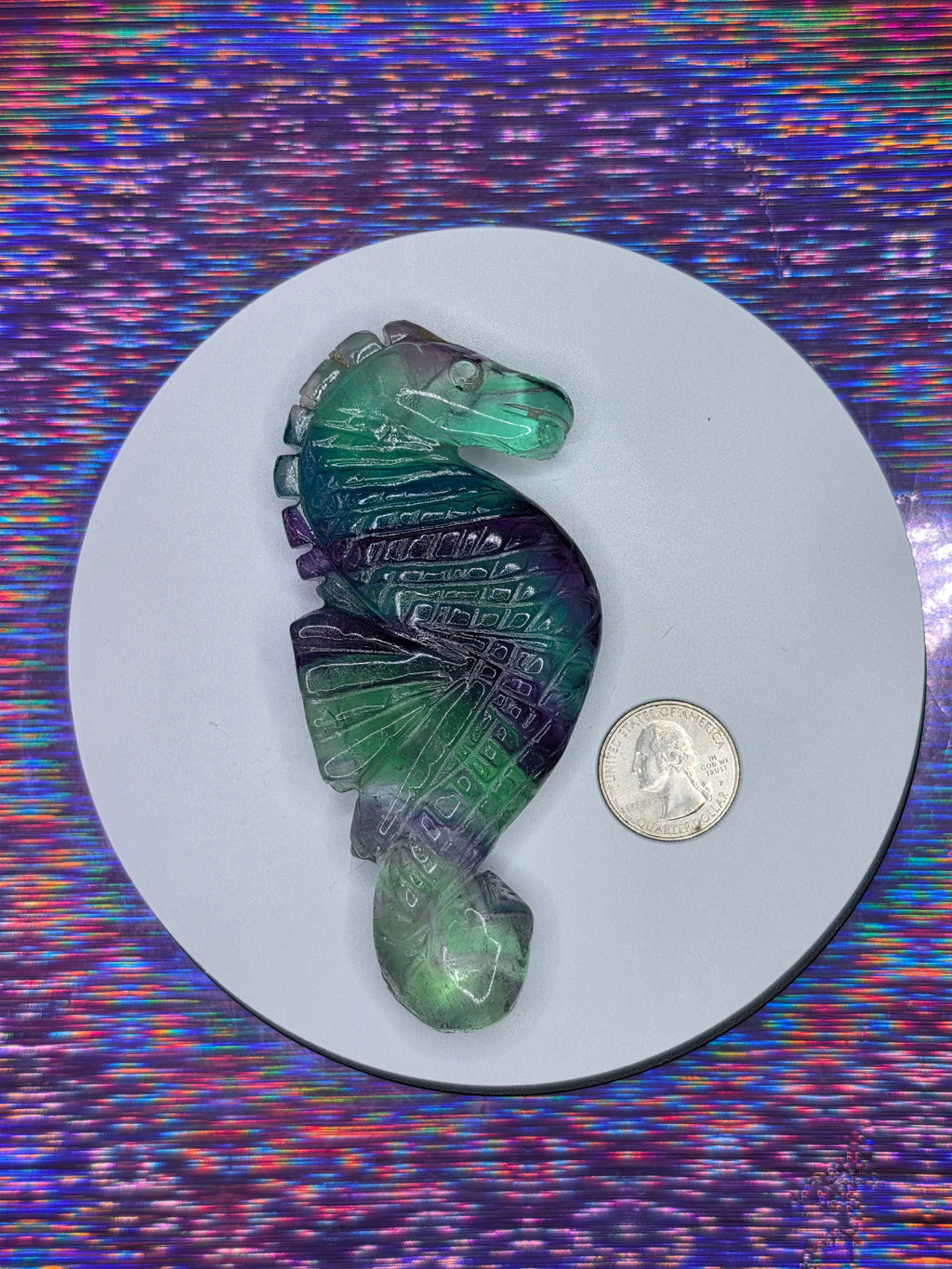 Fluorite Seahorse D