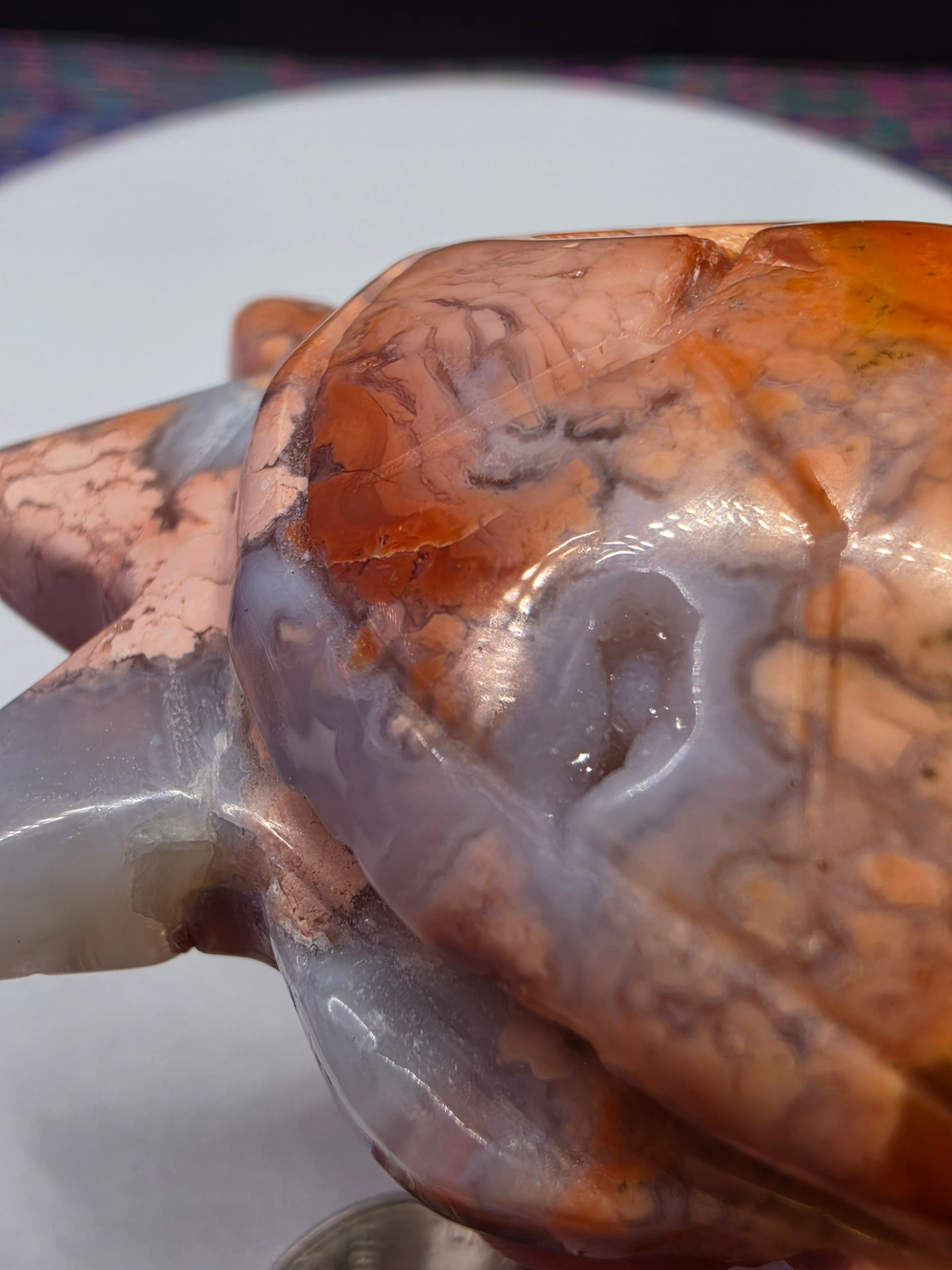 Cotton Candy Agate Turtle B