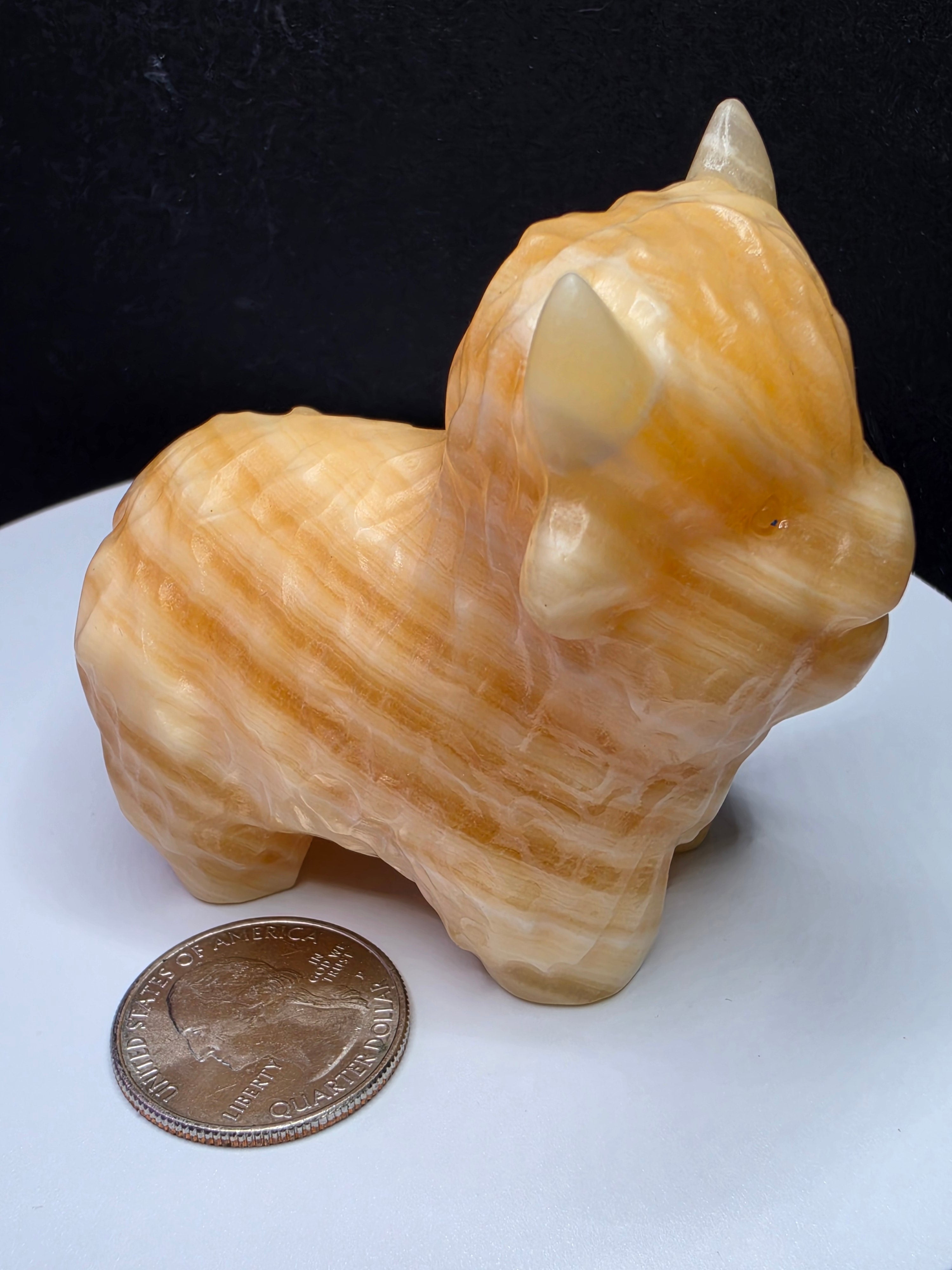 Honey Calcite Highland Cow B
