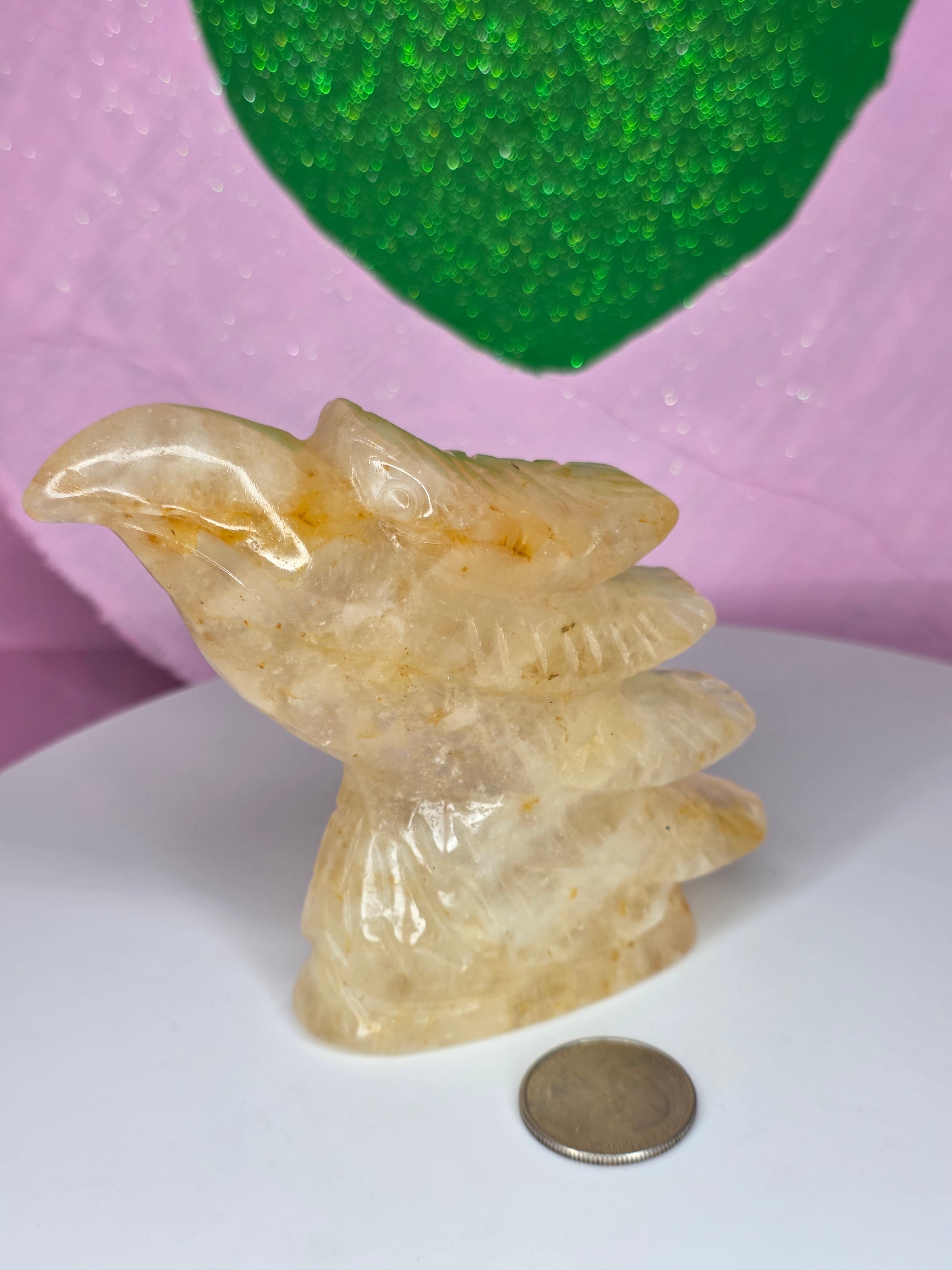 Golden Healer Eagle Head D