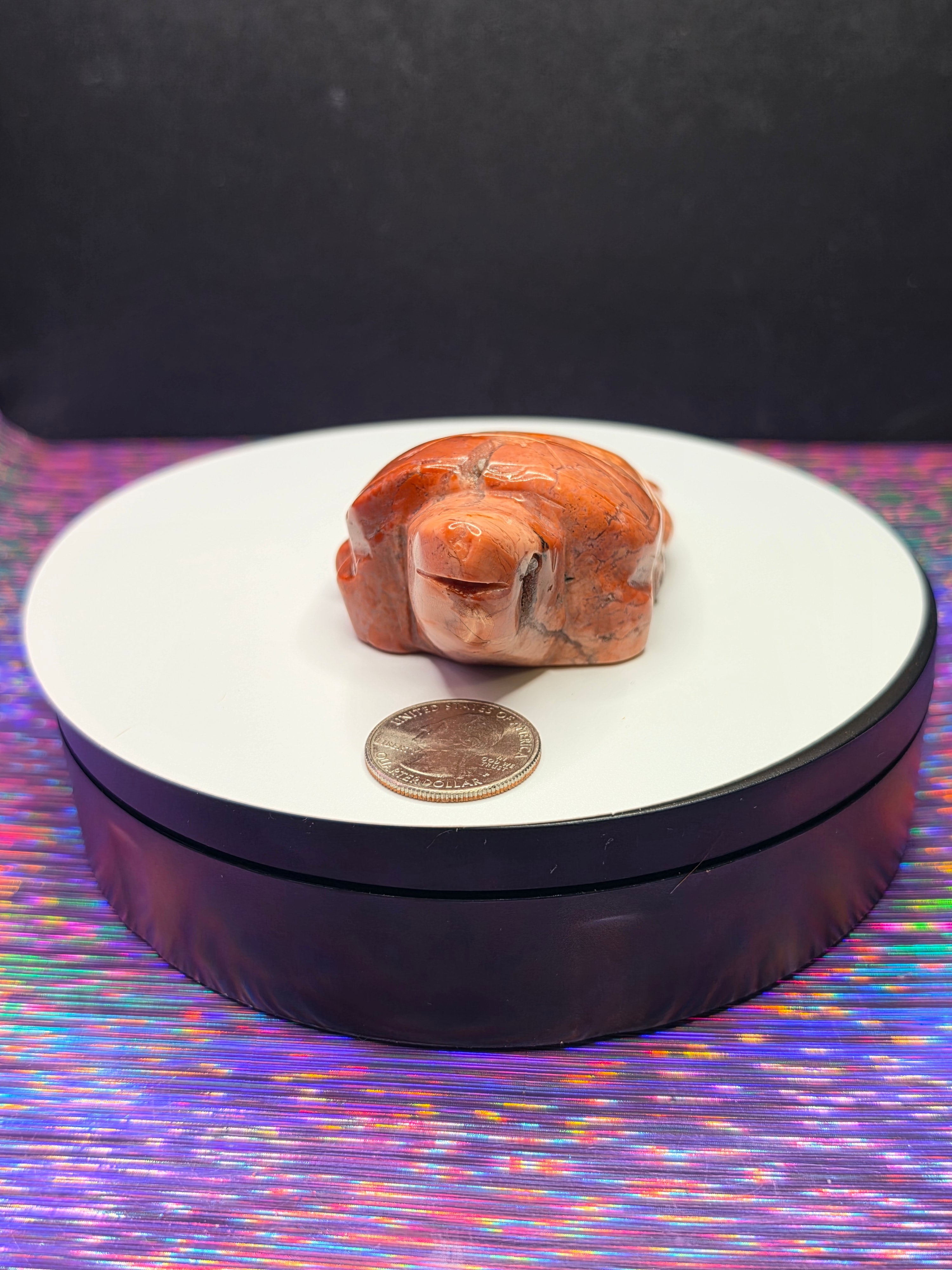 Cotton Candy Agate Turtle C