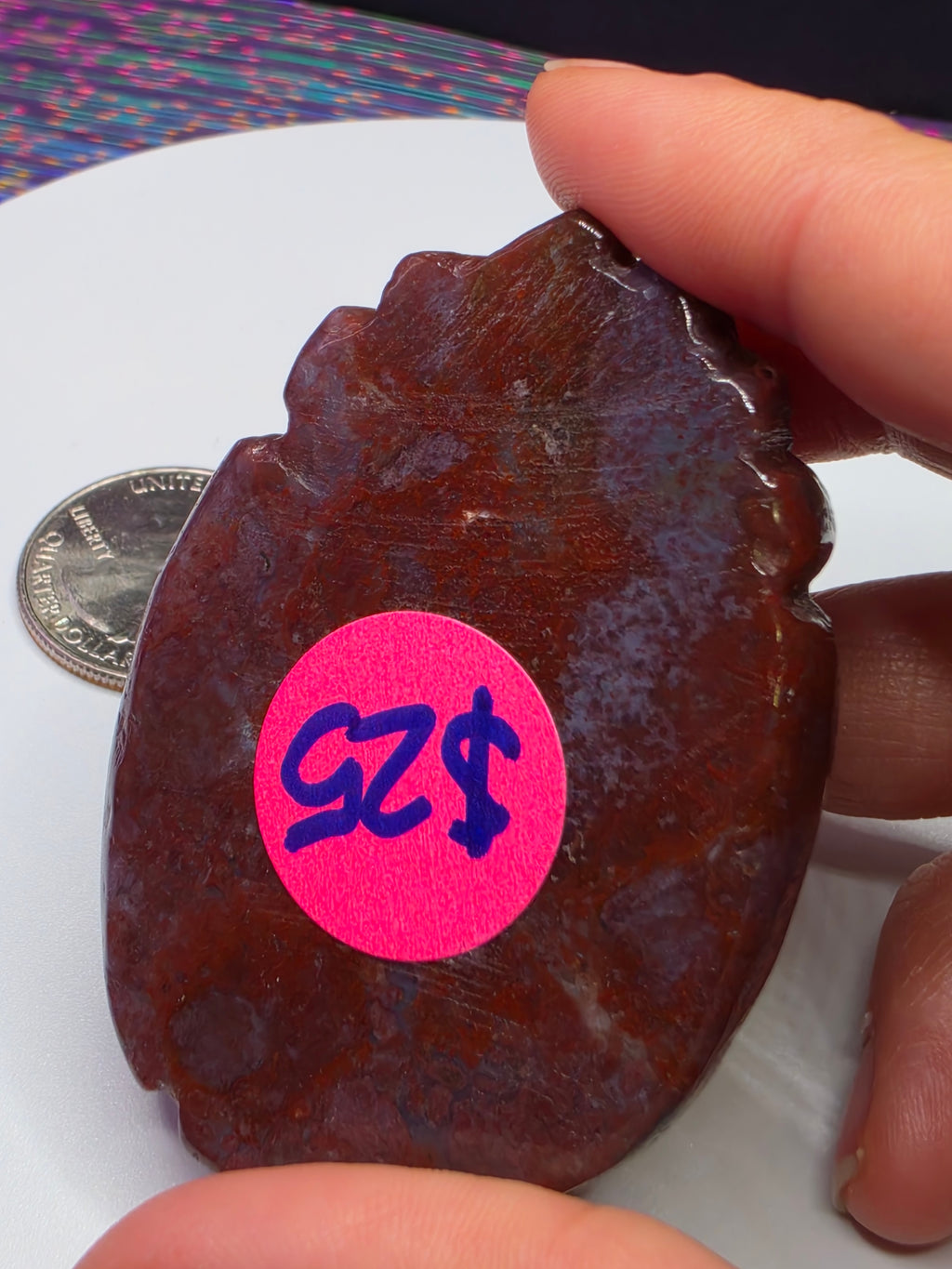 Sea Jasper Ladybug
